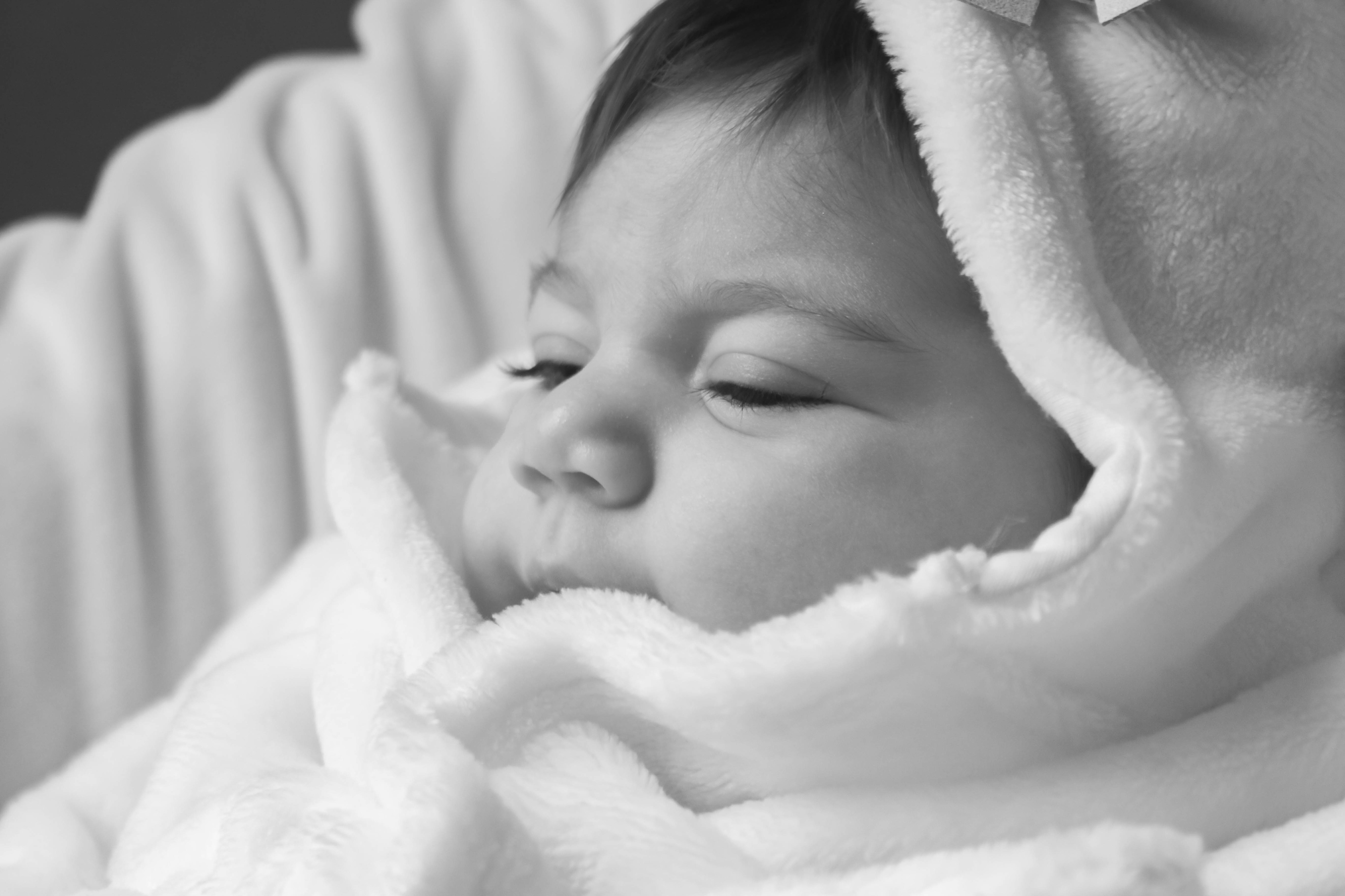 Baby Bella