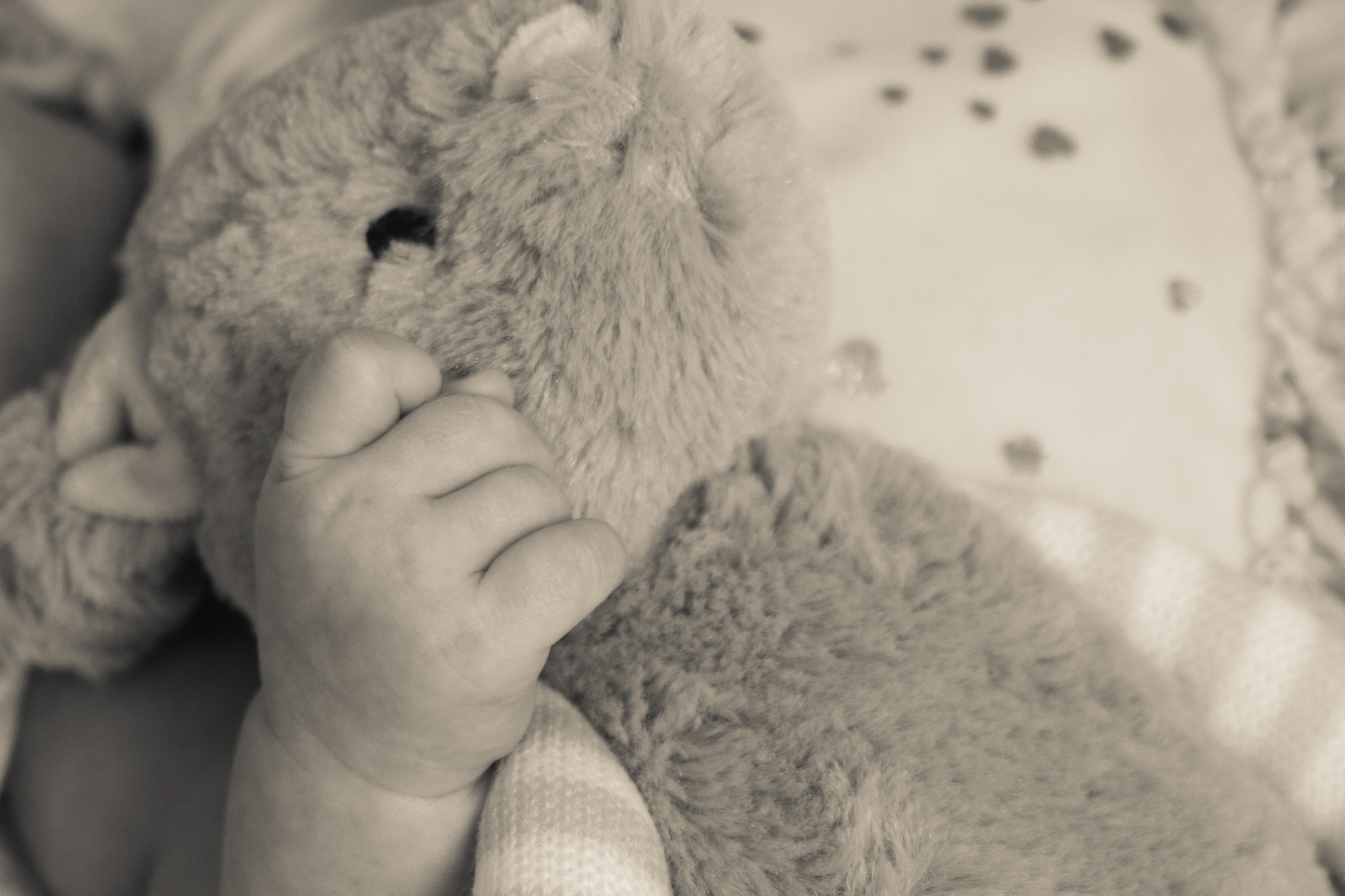 Baby Bella's Bunny