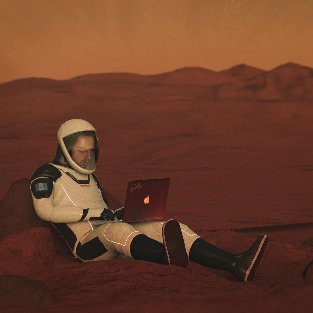 SpaceX Portrait