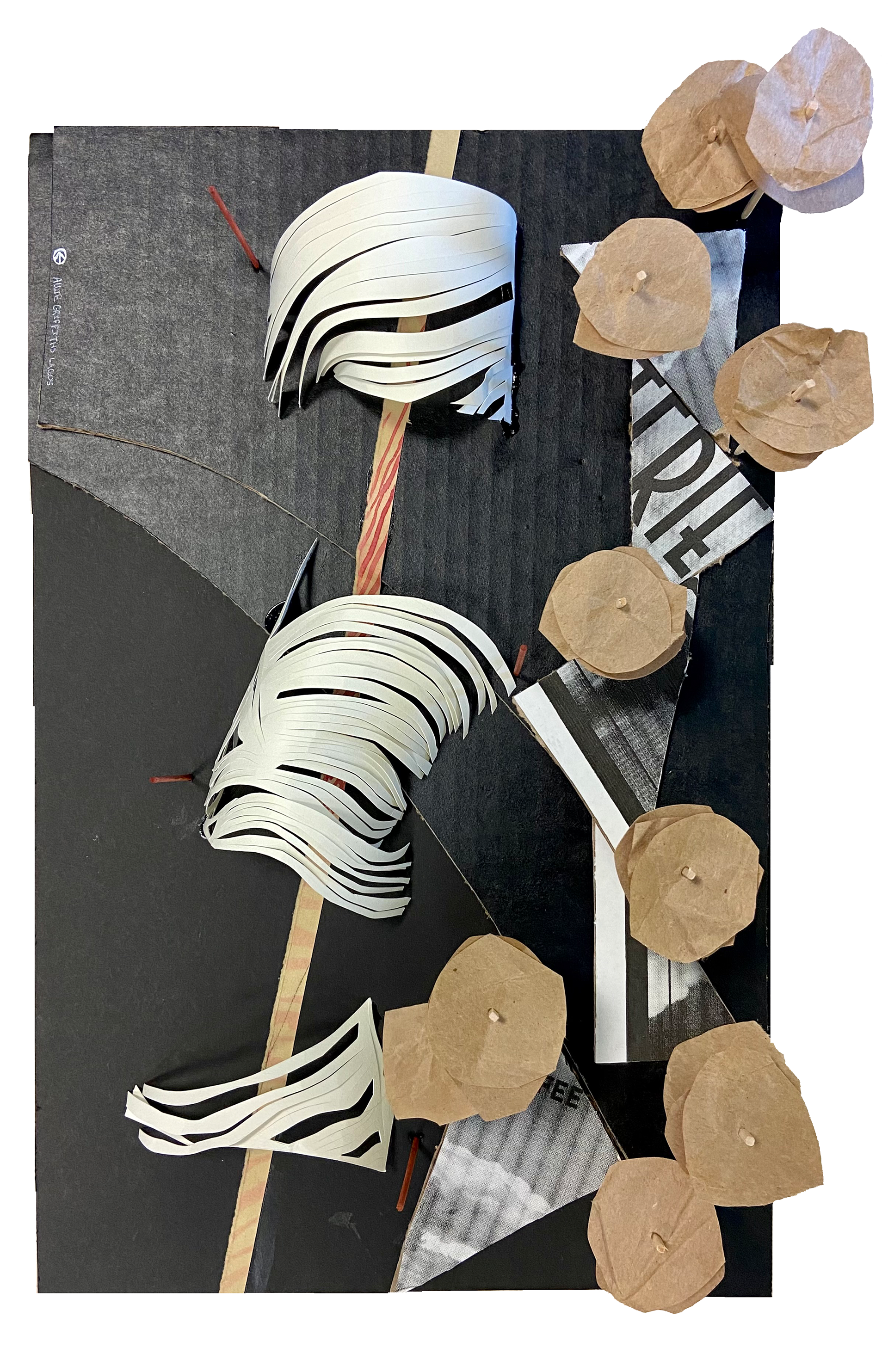 Analog Conceptual Model