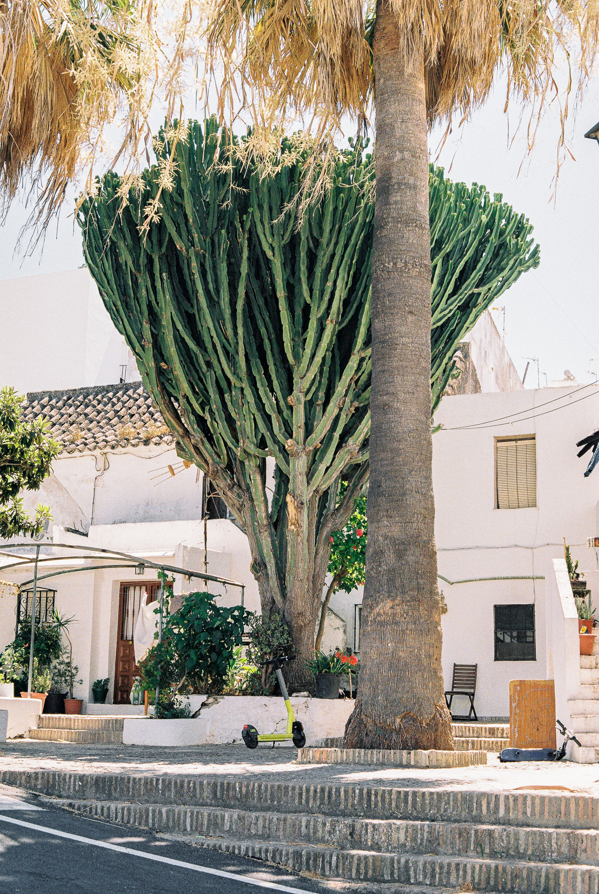 Vejer de la Frontera