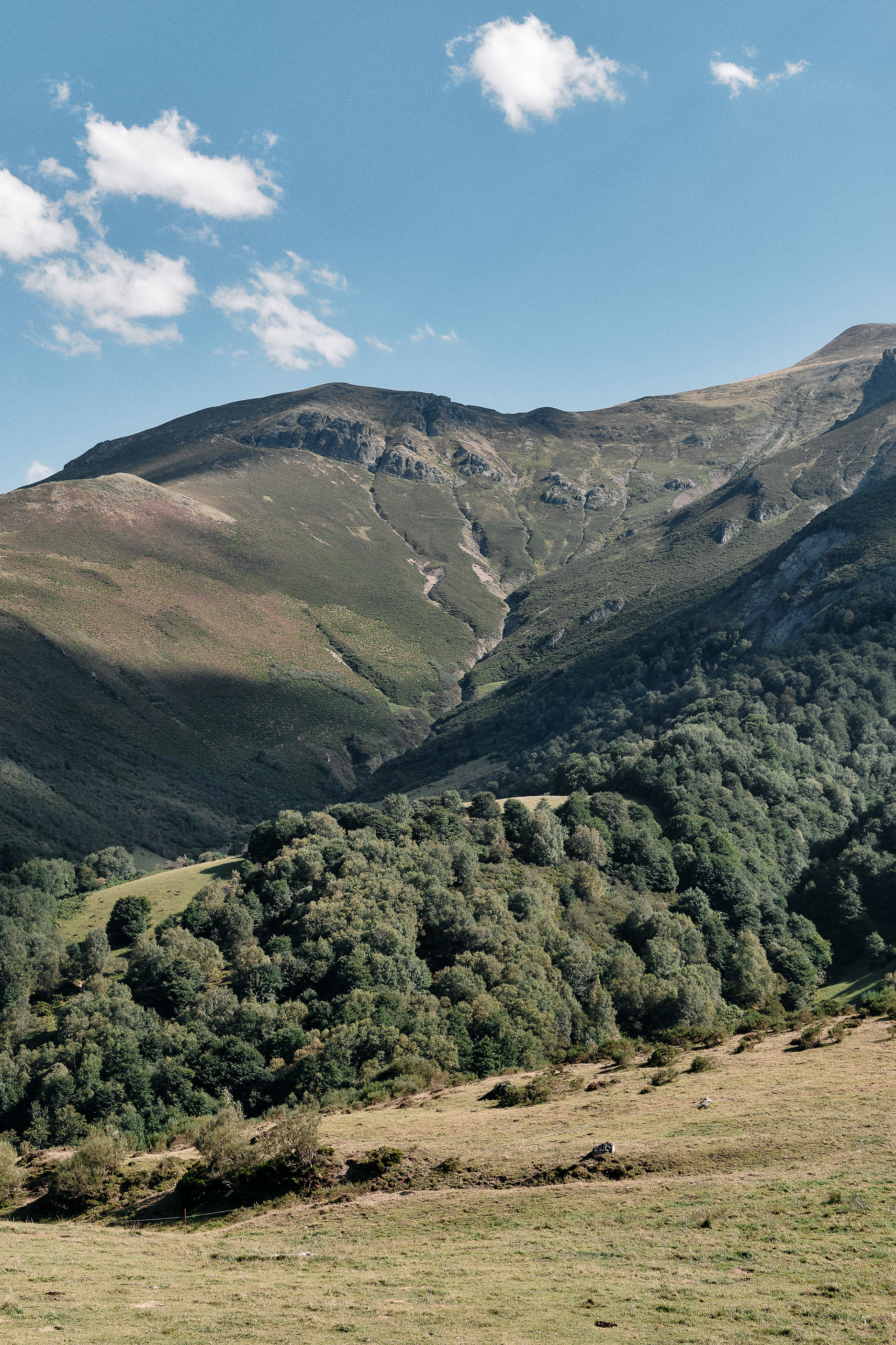 Picos de Europa