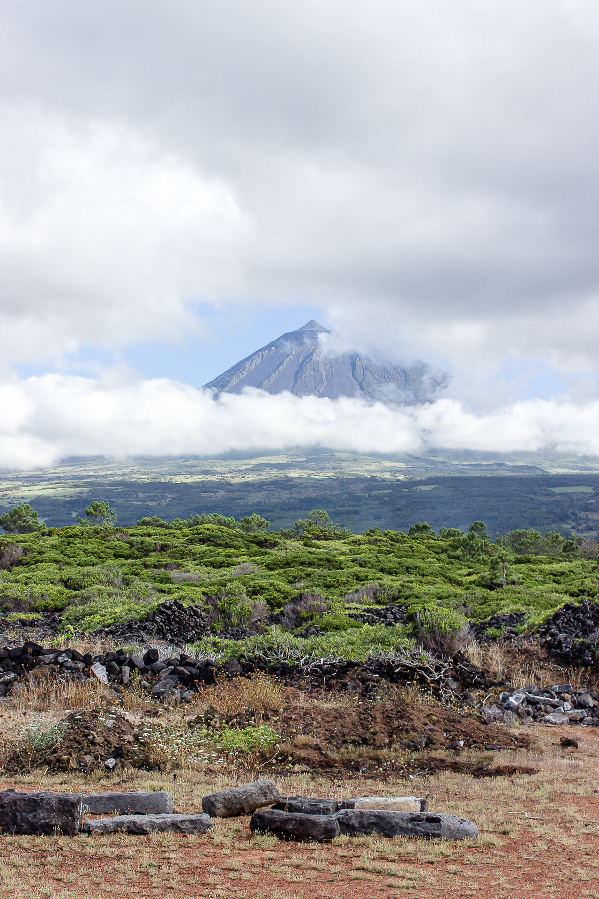 Ilha do Pico