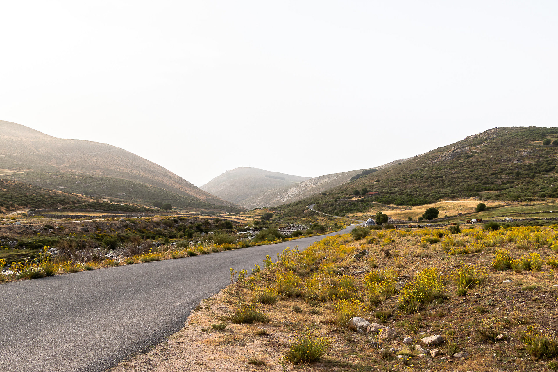 Serra dos Gredos