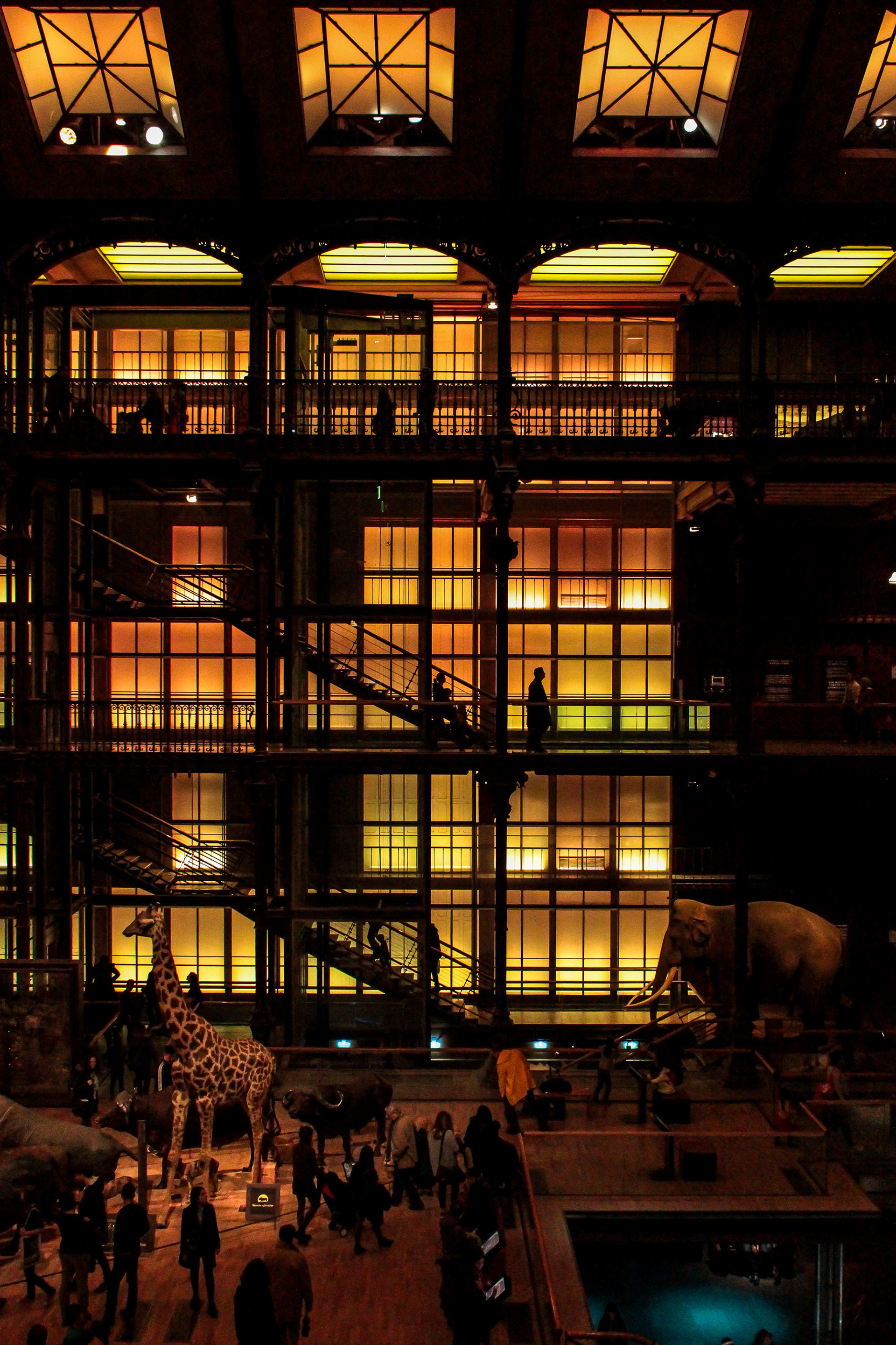 Museu Nacional de História Natural