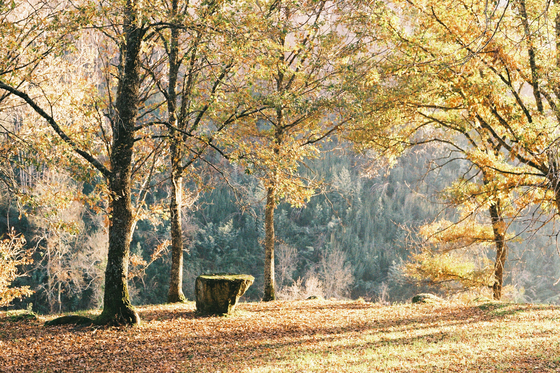 Serra da Estrela