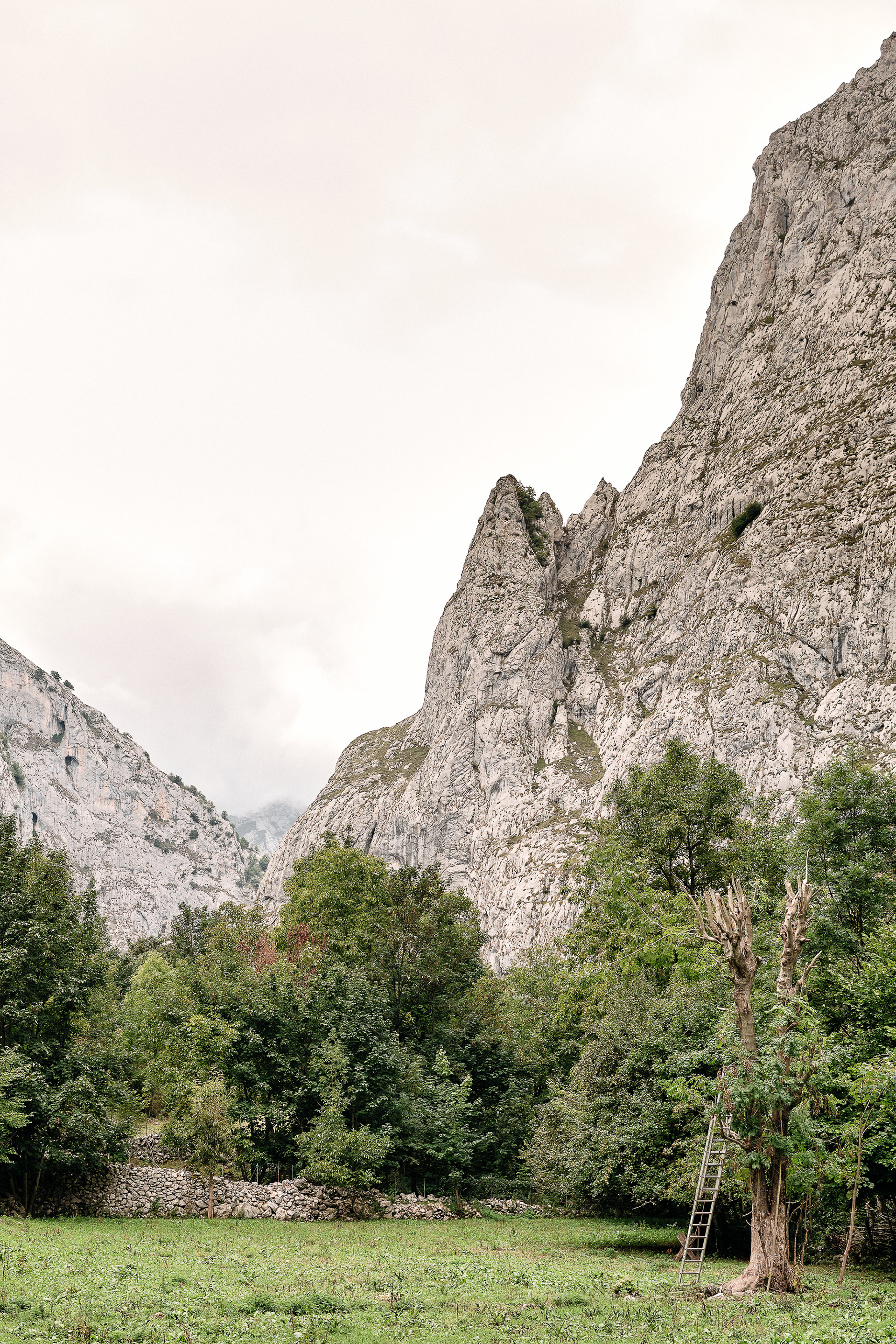 Bulnes