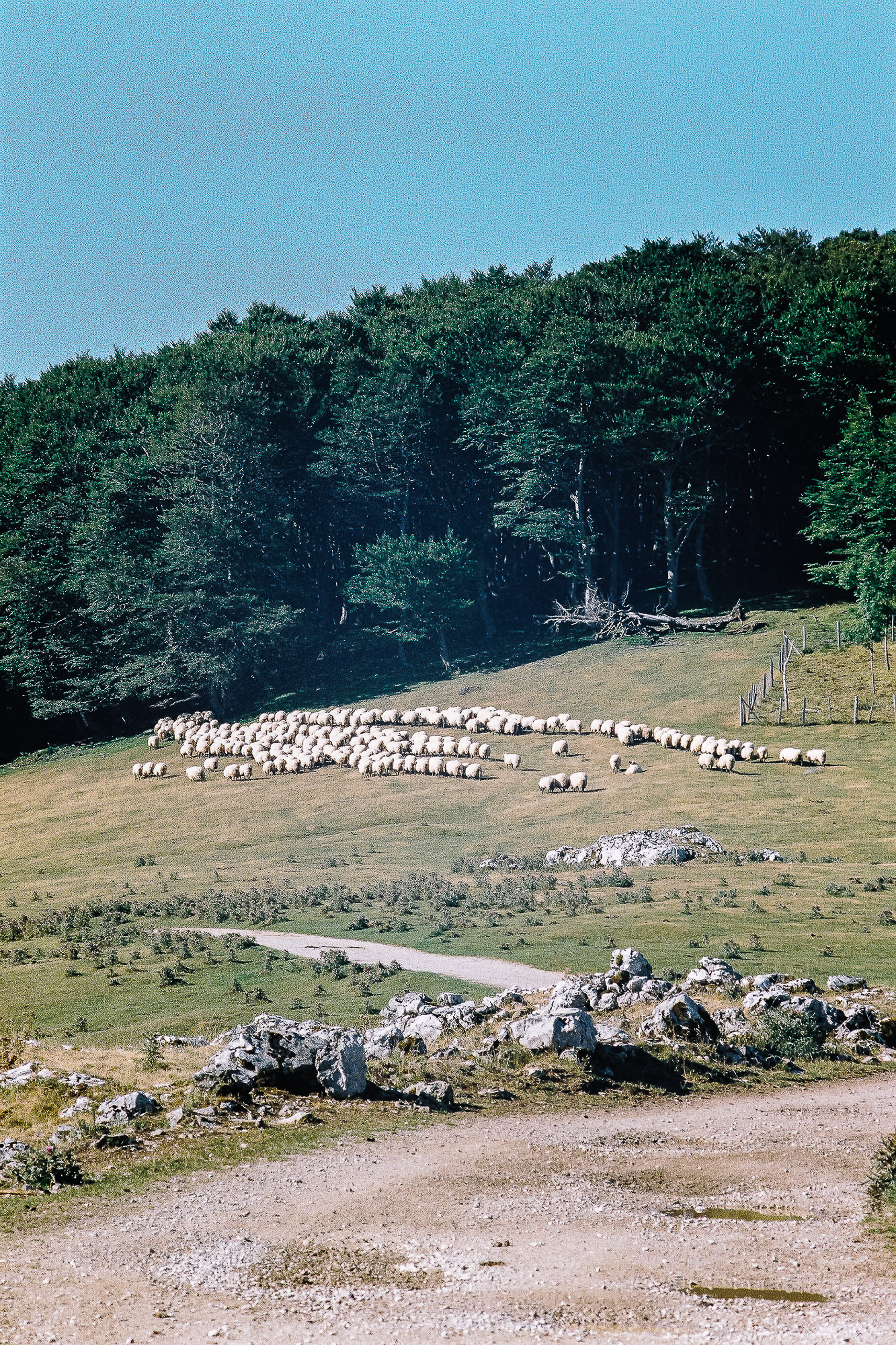 Aizkorri-Aratz