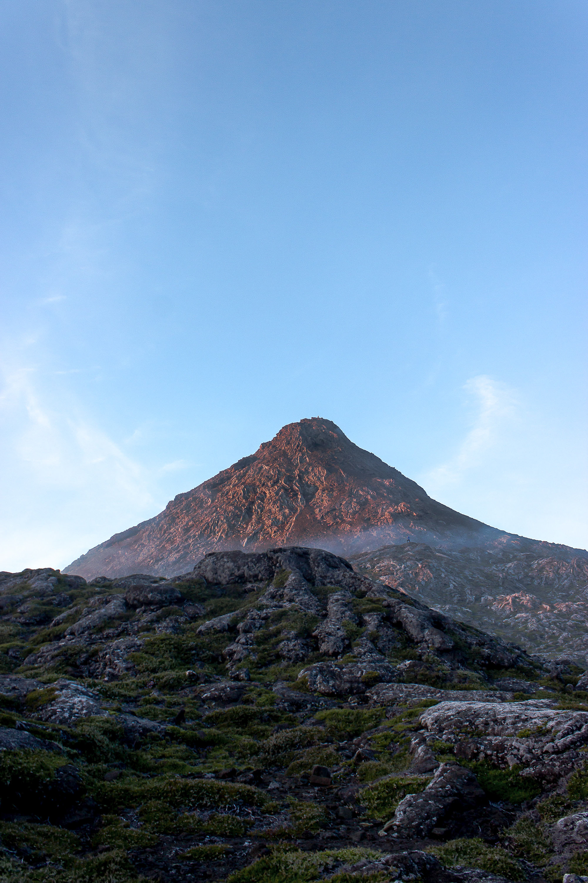 Pico