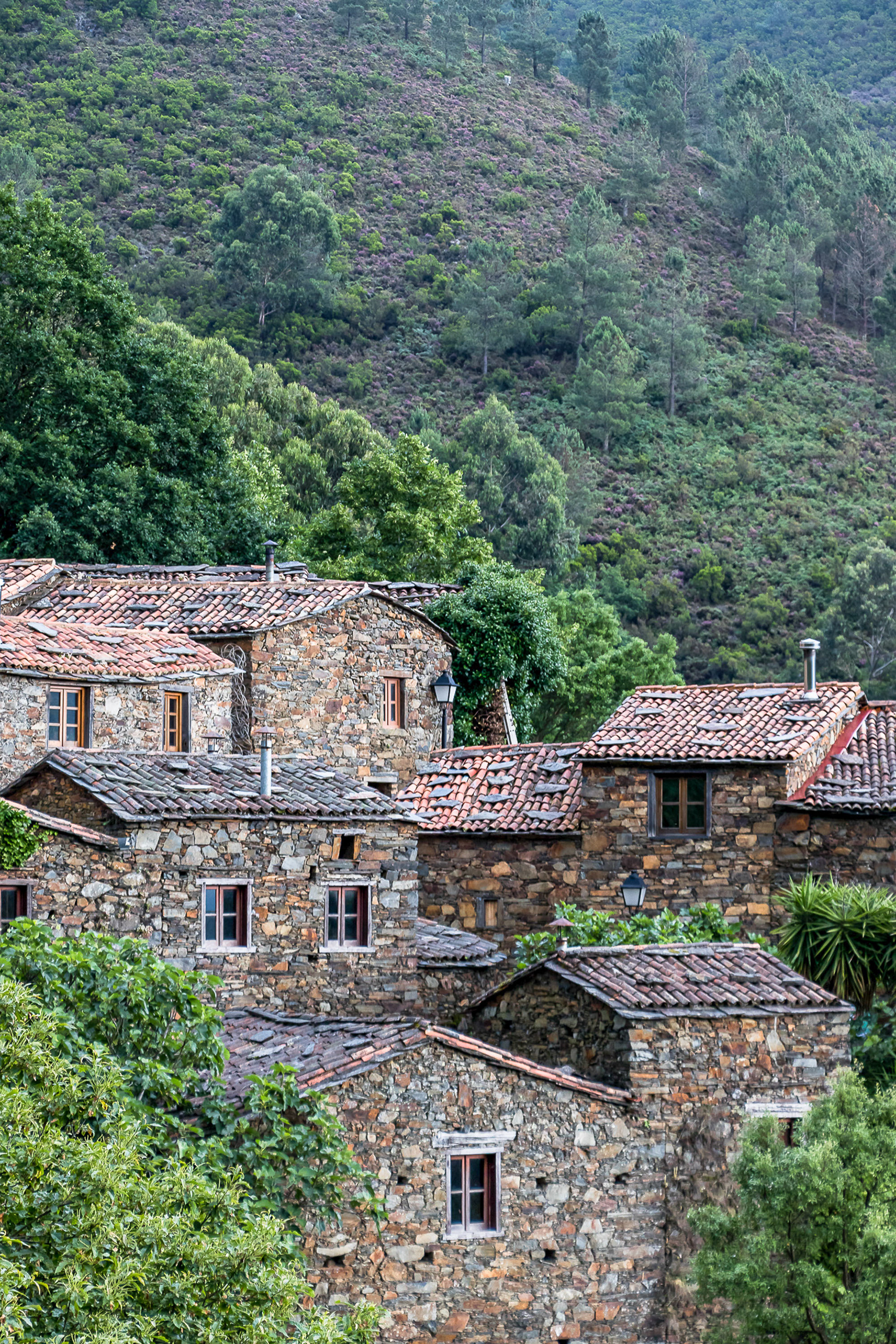 Cerdeira