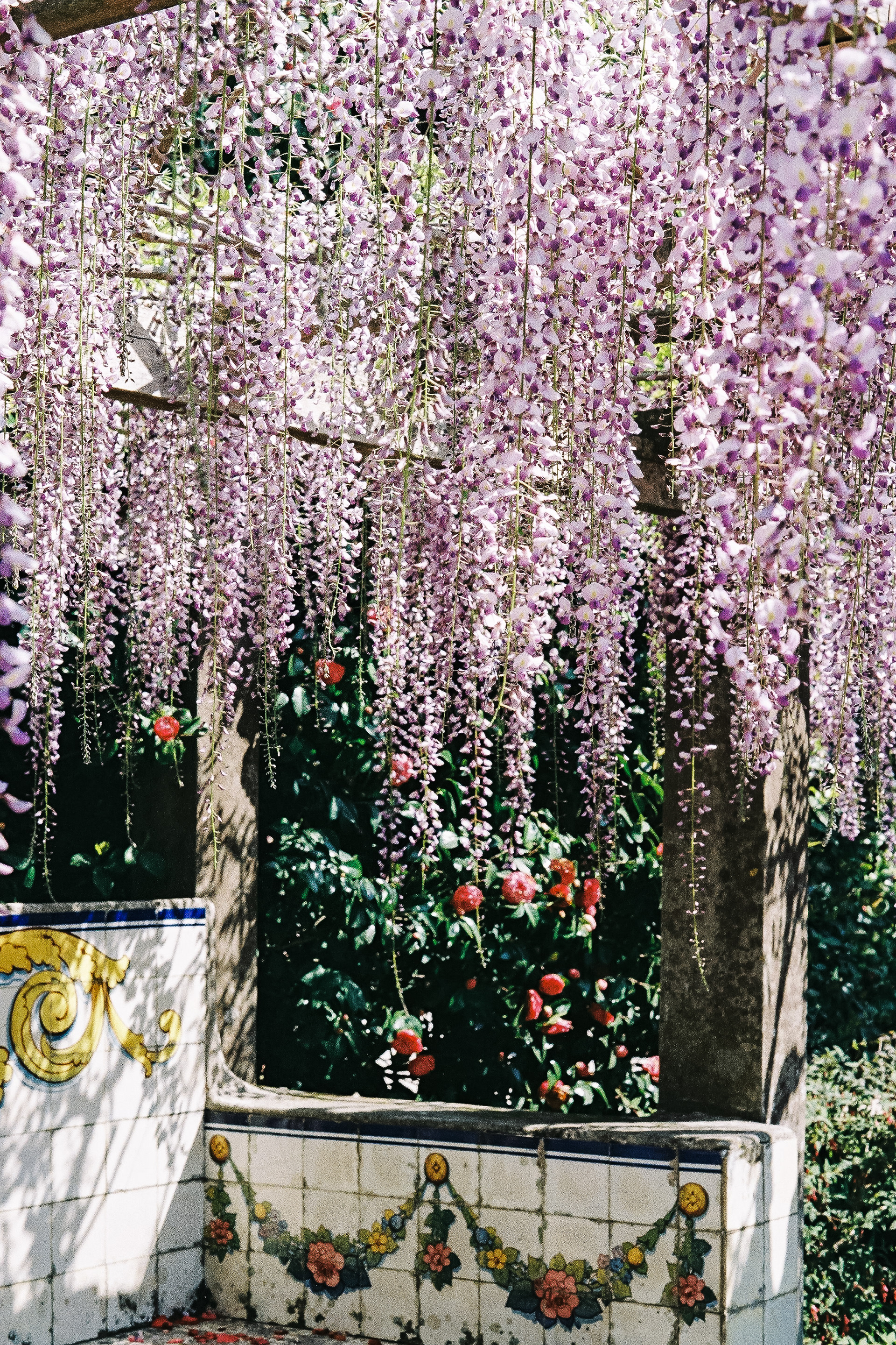 Jardim Botânico do Porto