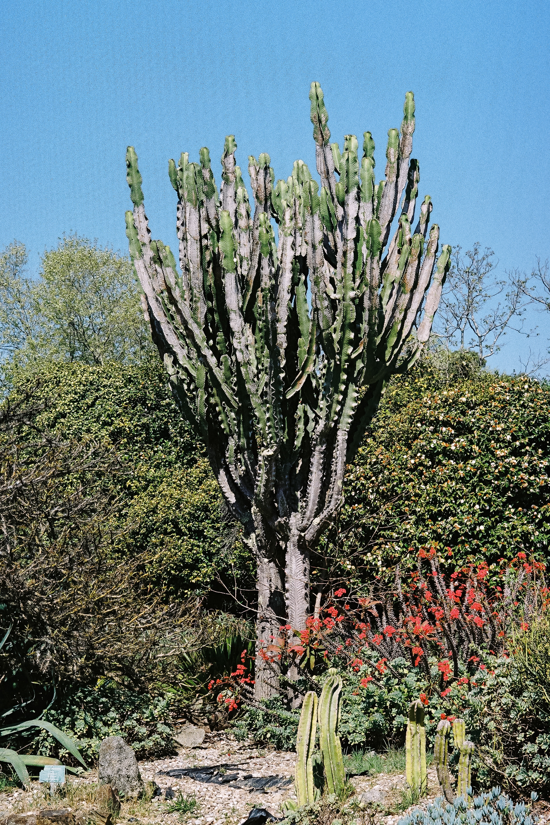 Jardim Botânico do Porto
