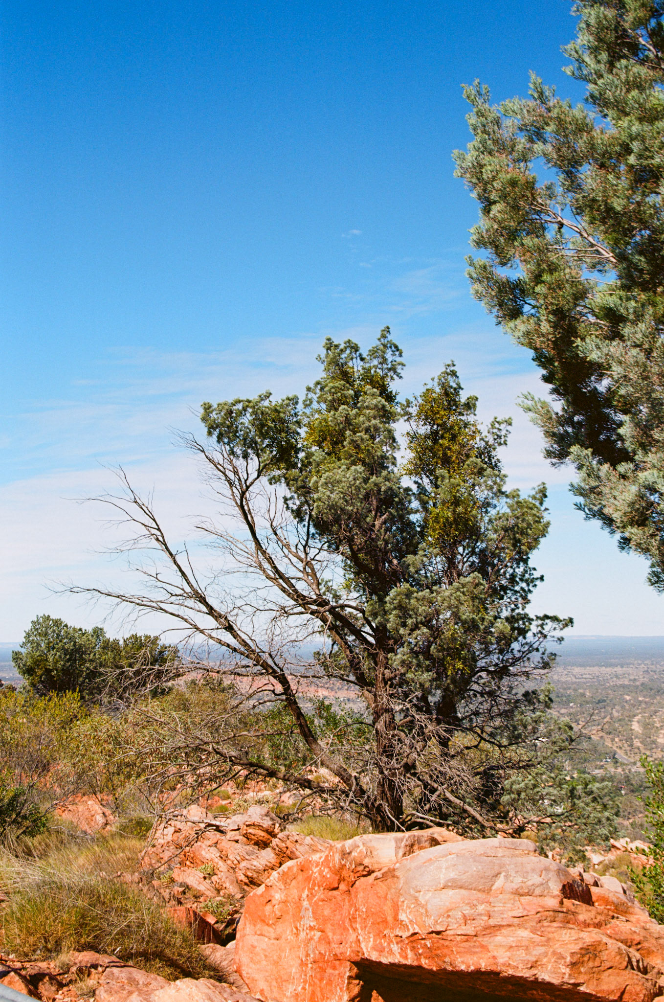 Kodak Ektar 100