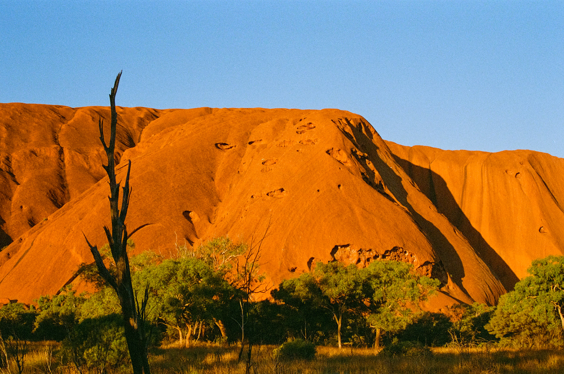 Kodak Portra 800