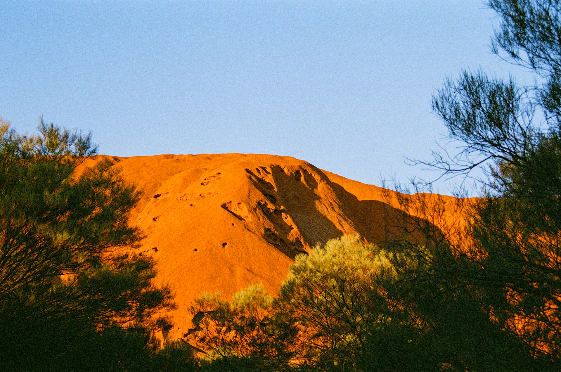 Kodak Portra 800