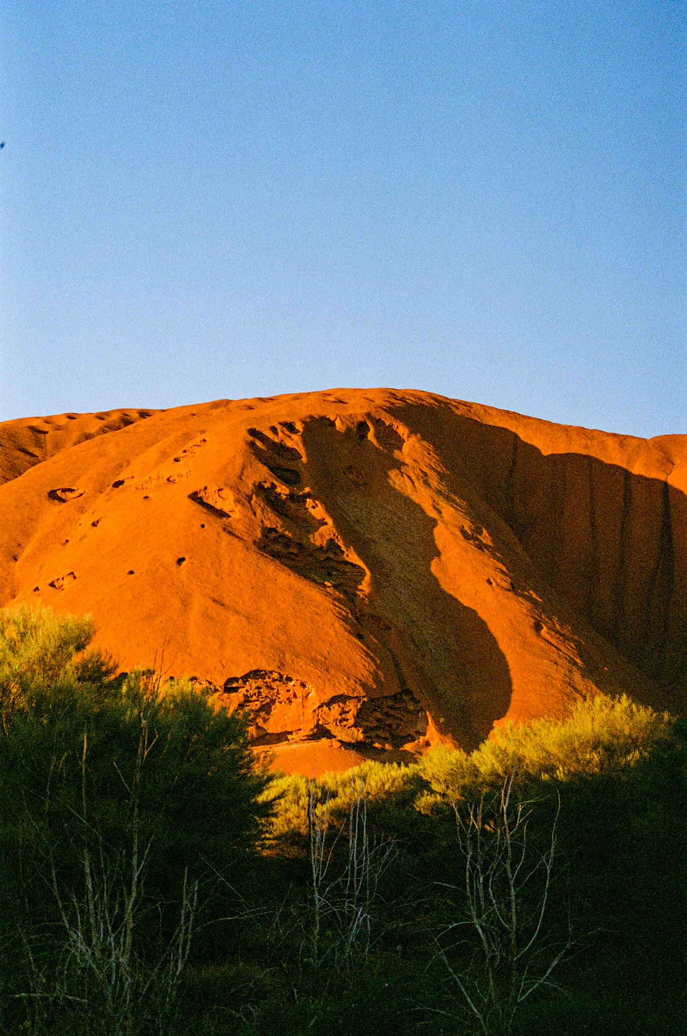 Kodak Portra 800