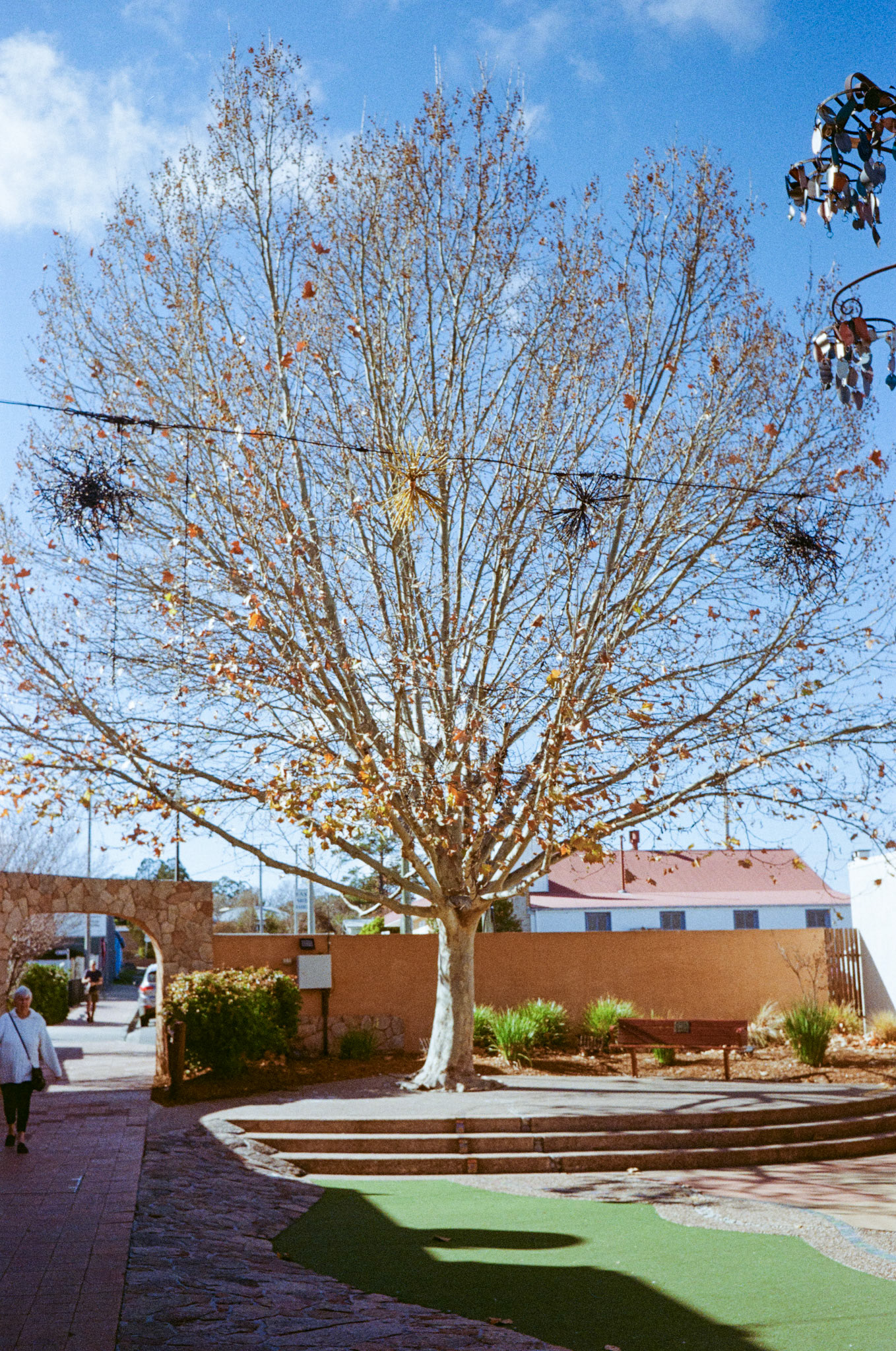 Kodak Gold 200