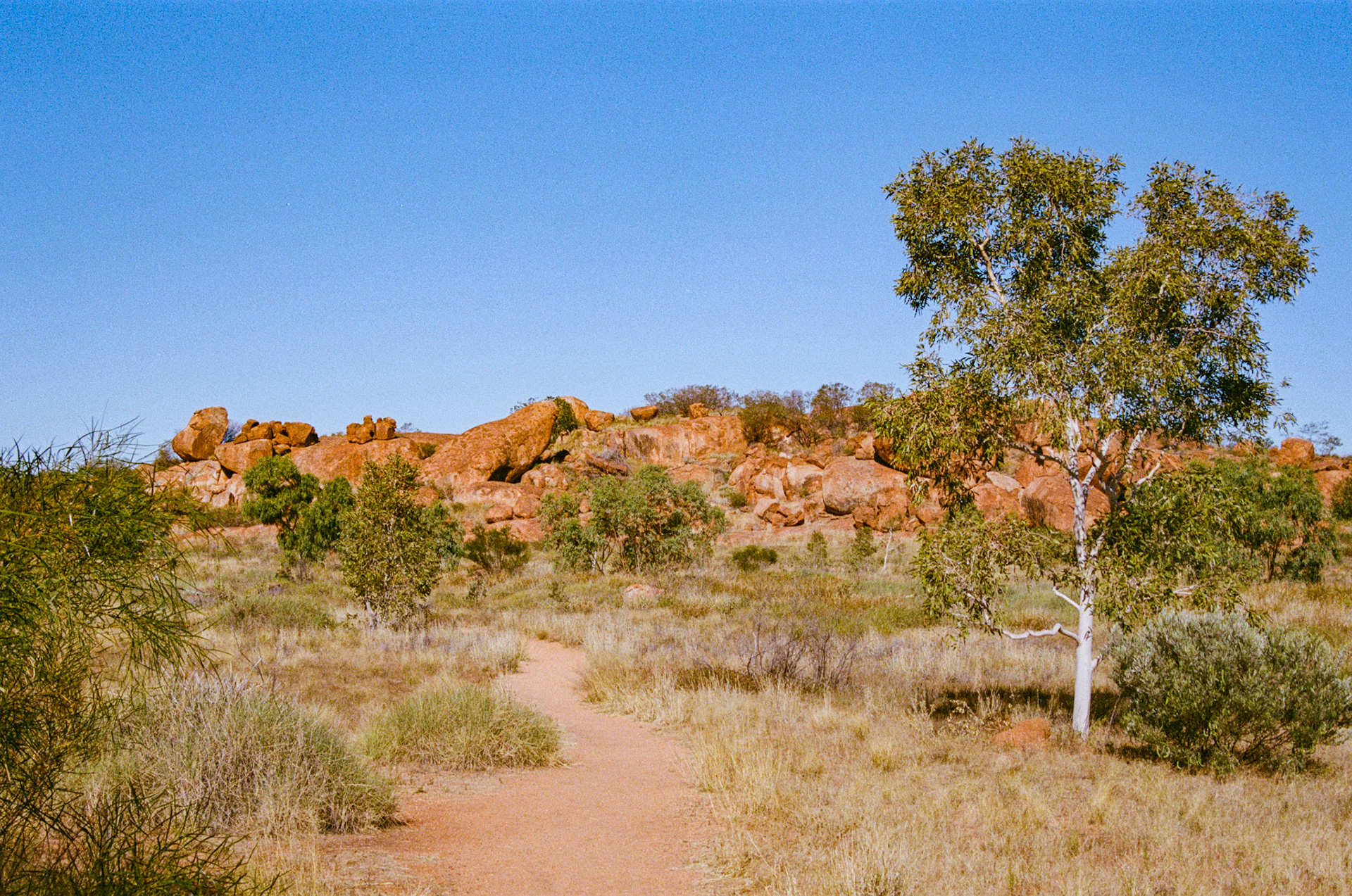 Kodak Portra 400