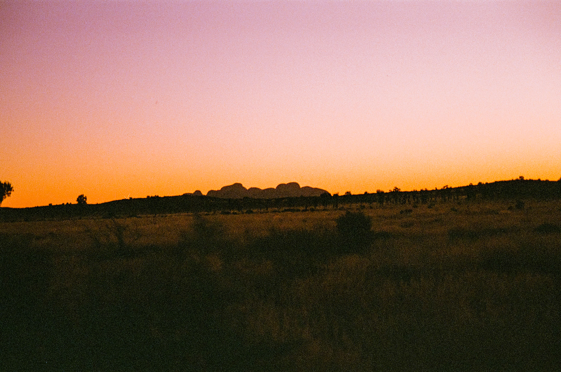 Kodak Portra 800