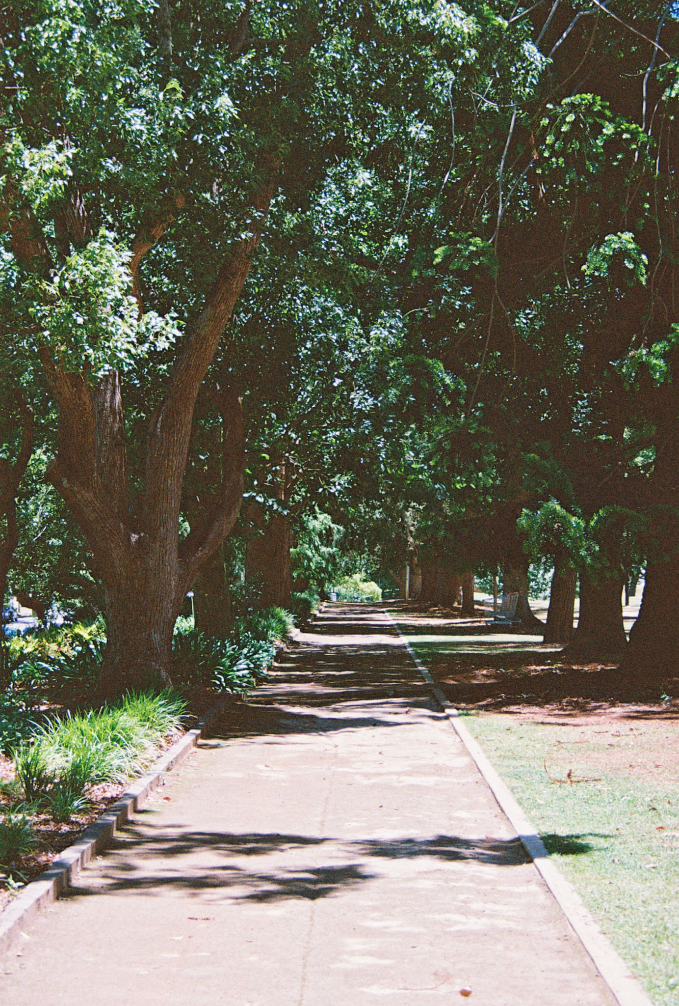 Kodak Ultramax 400