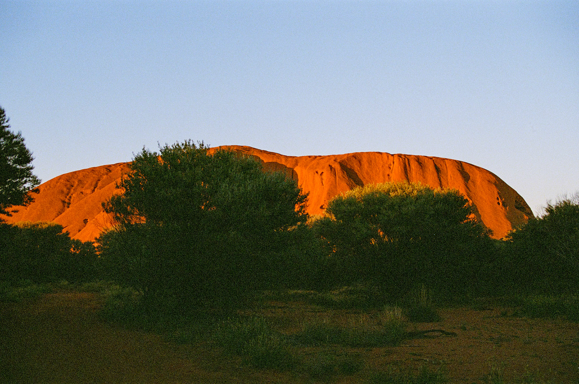 Kodak Portra 800