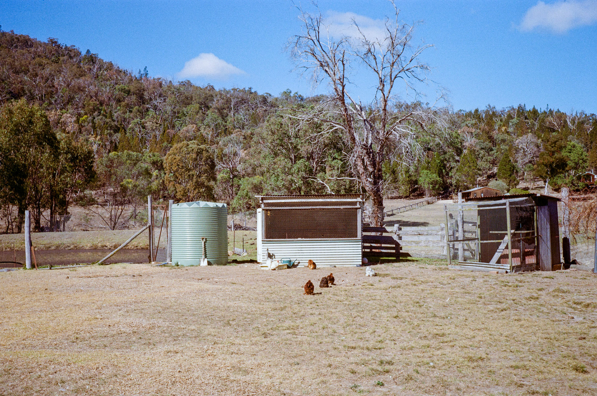 Kodak Gold 200