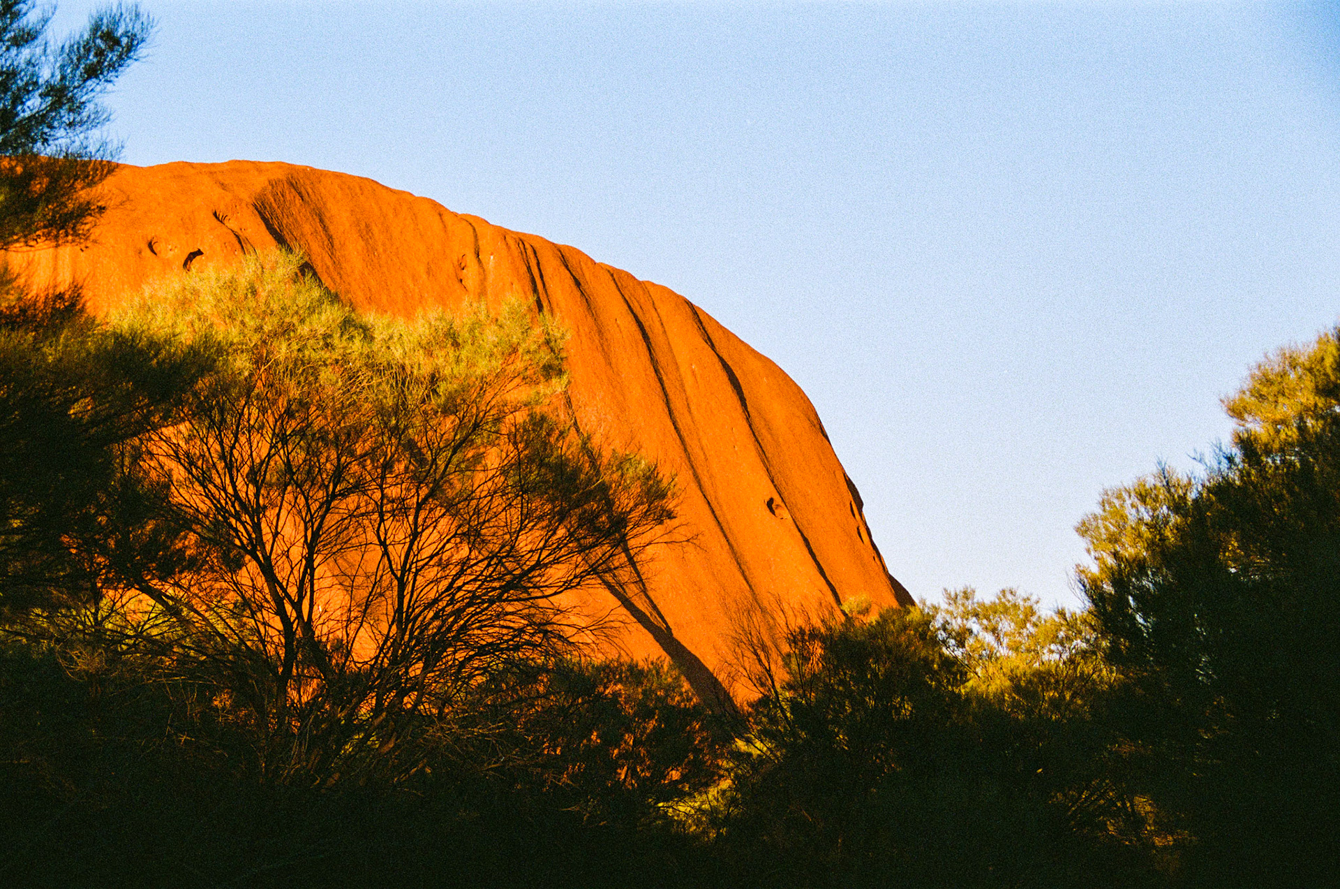 Kodak Portra 800
