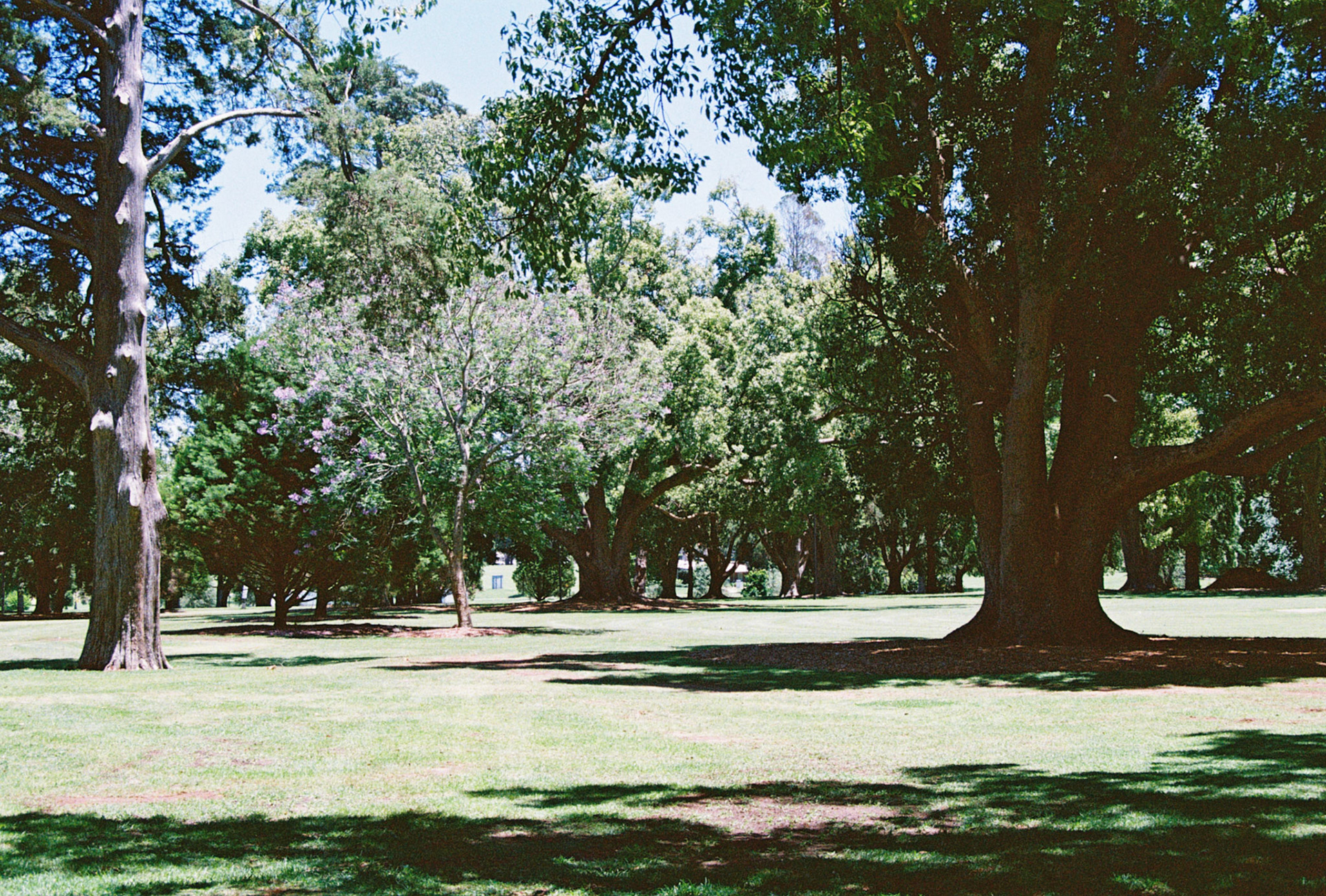 Kodak Ultramax 400