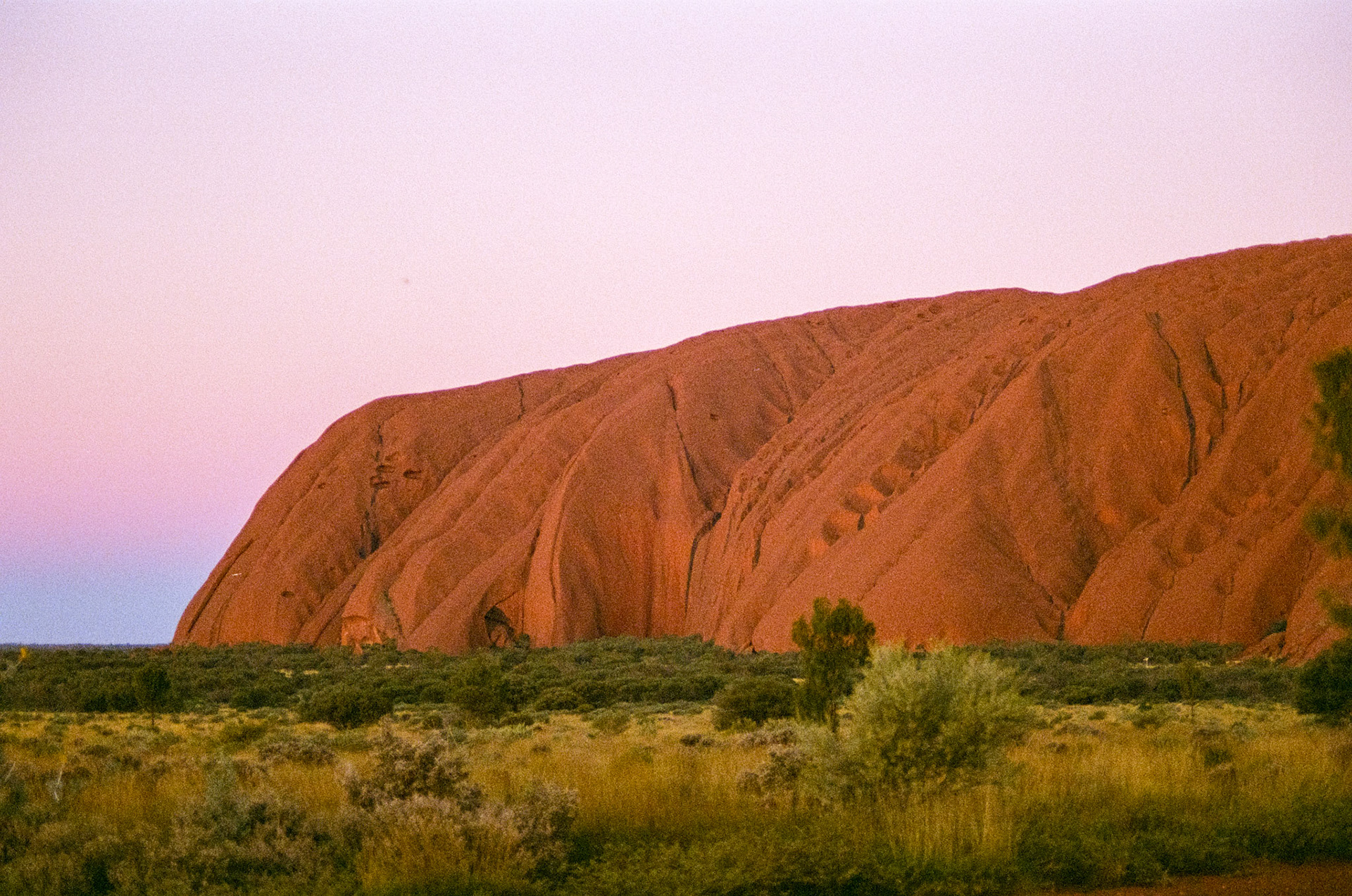 Kodak Portra 800