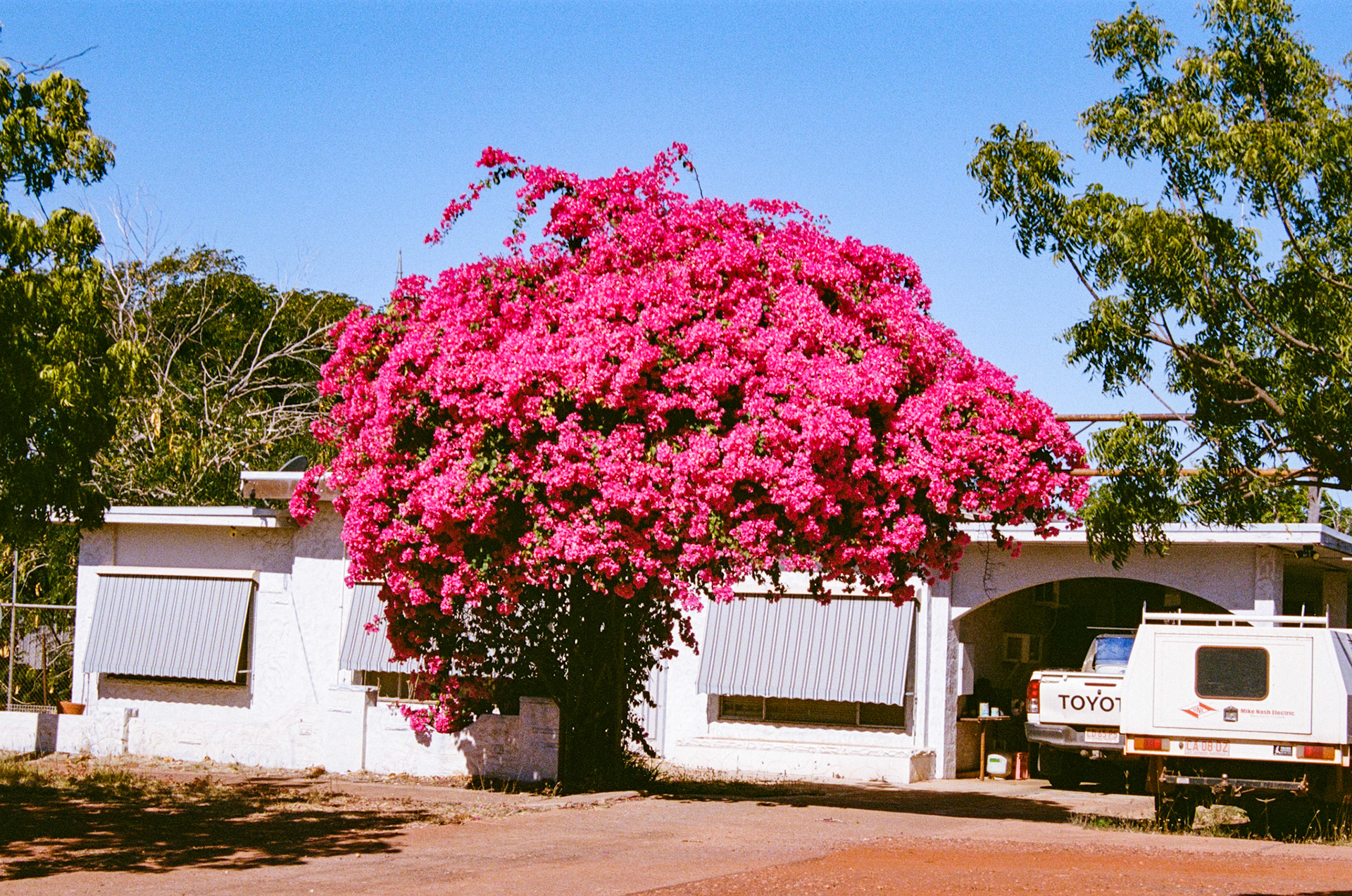 Kodak Portra 400