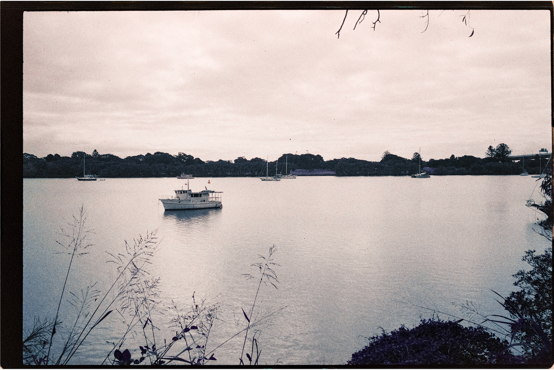 Lomochrome Purple 200