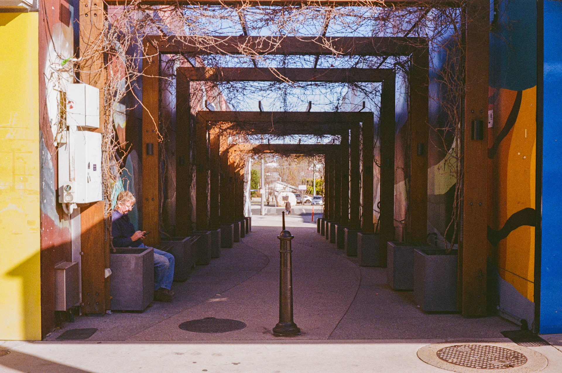 Kodak Gold 200
