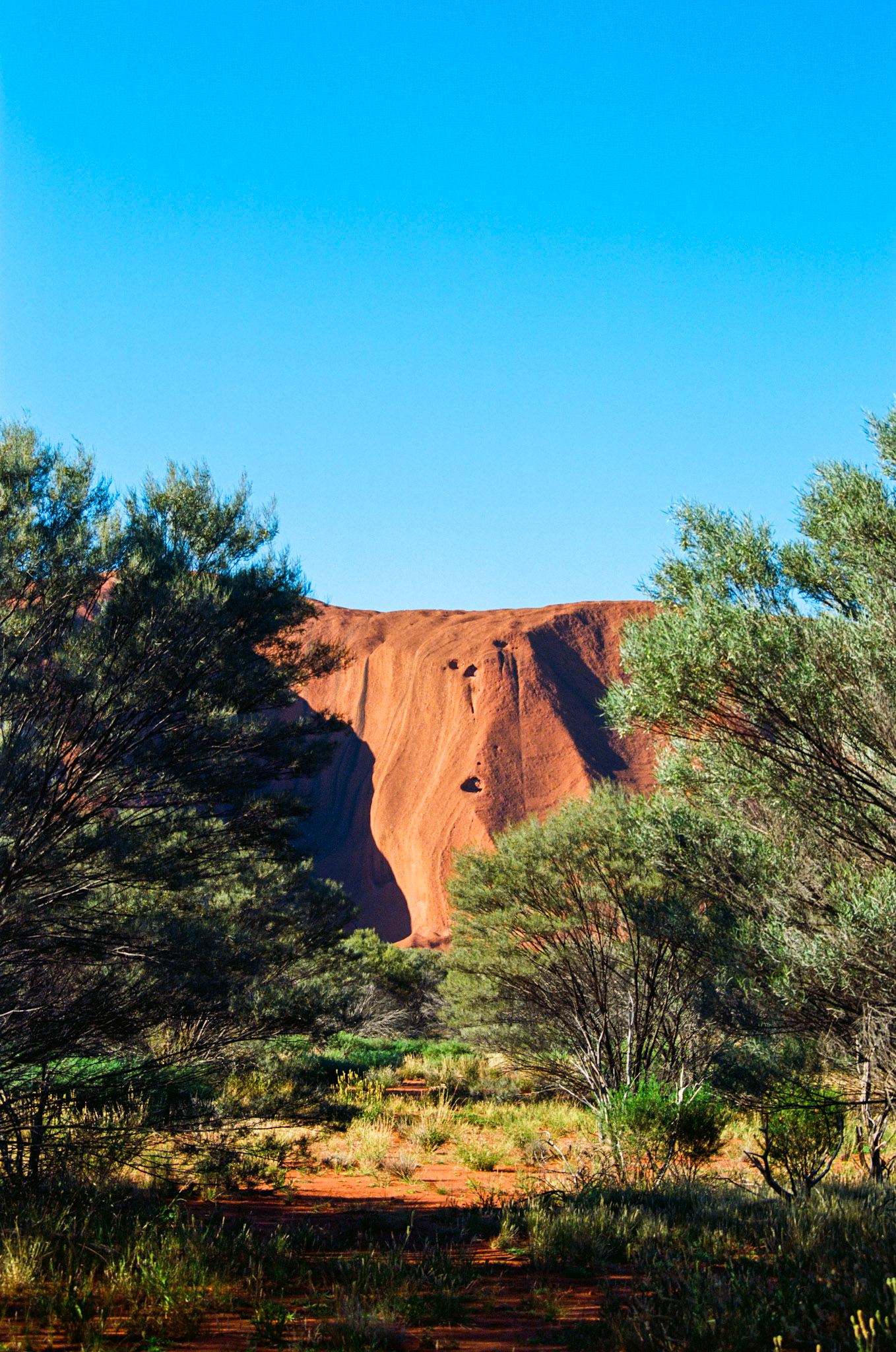Kodak Ektar 100