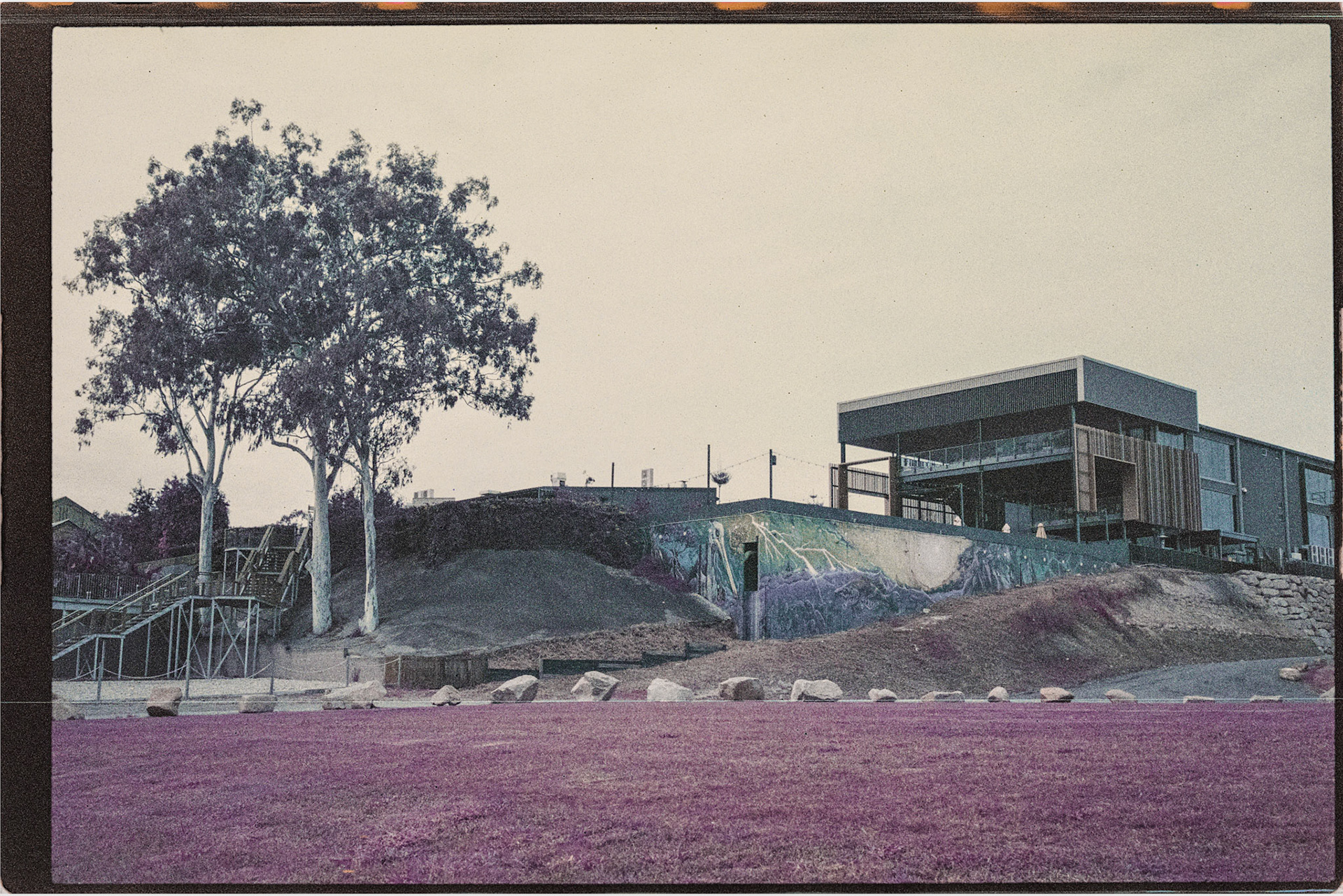 Lomochrome Purple 200