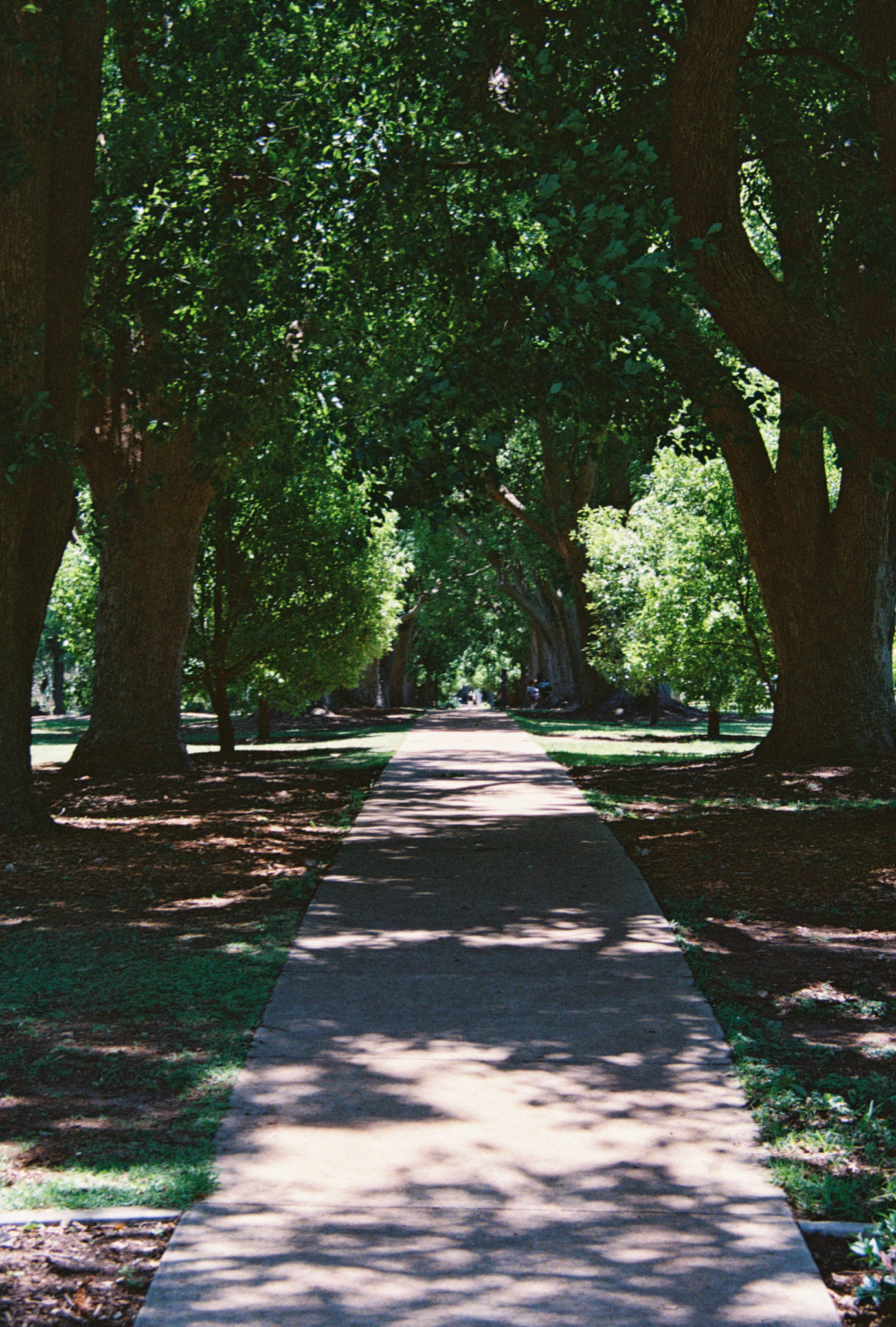 Kodak Ultramax 400