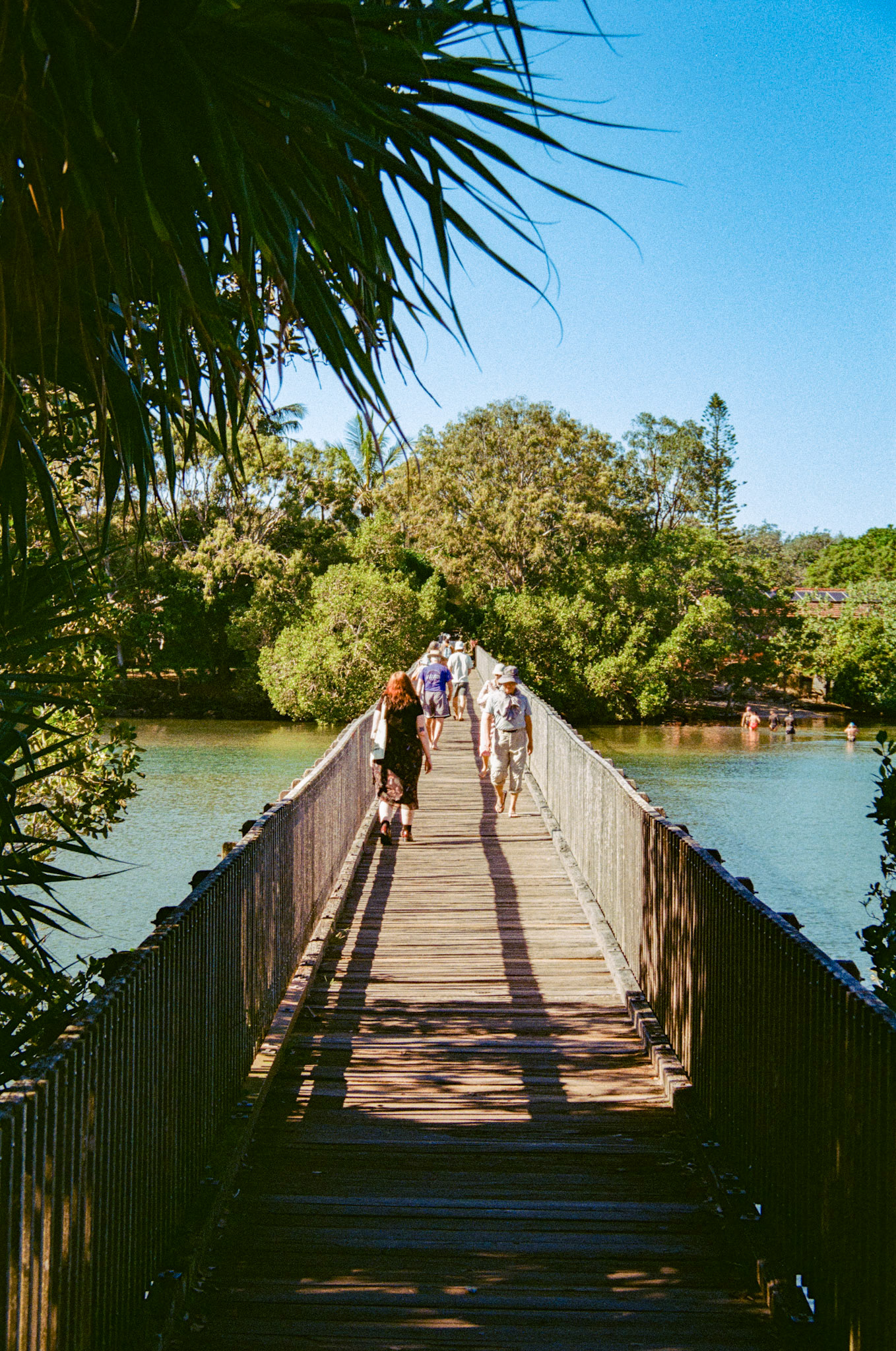 Fujifilm 200