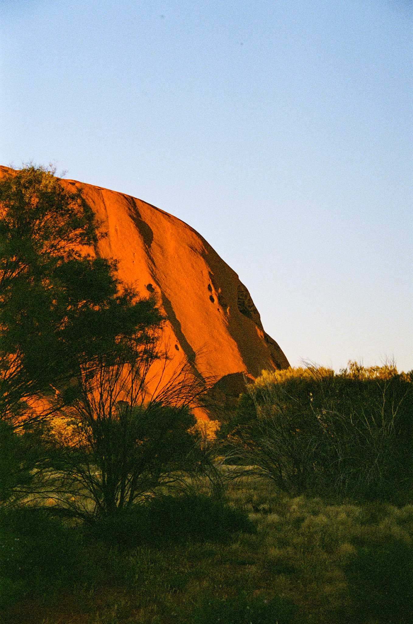 Kodak Portra 800