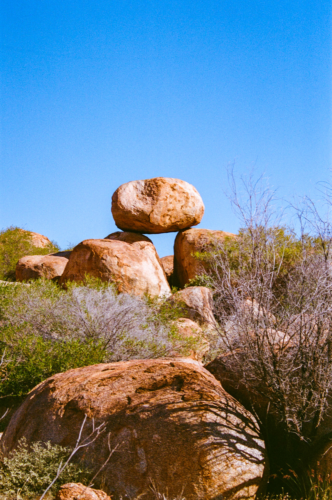 Kodak Portra 400