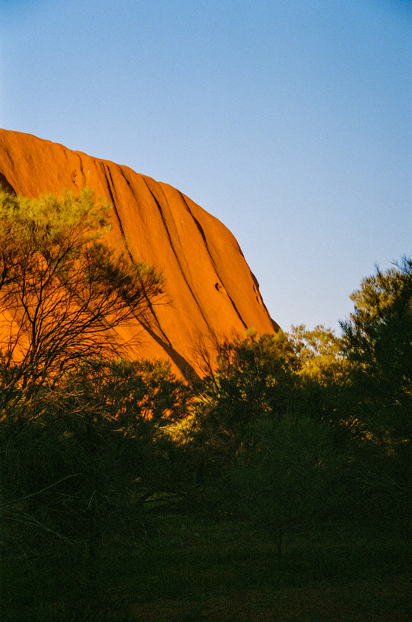 Kodak Portra 800