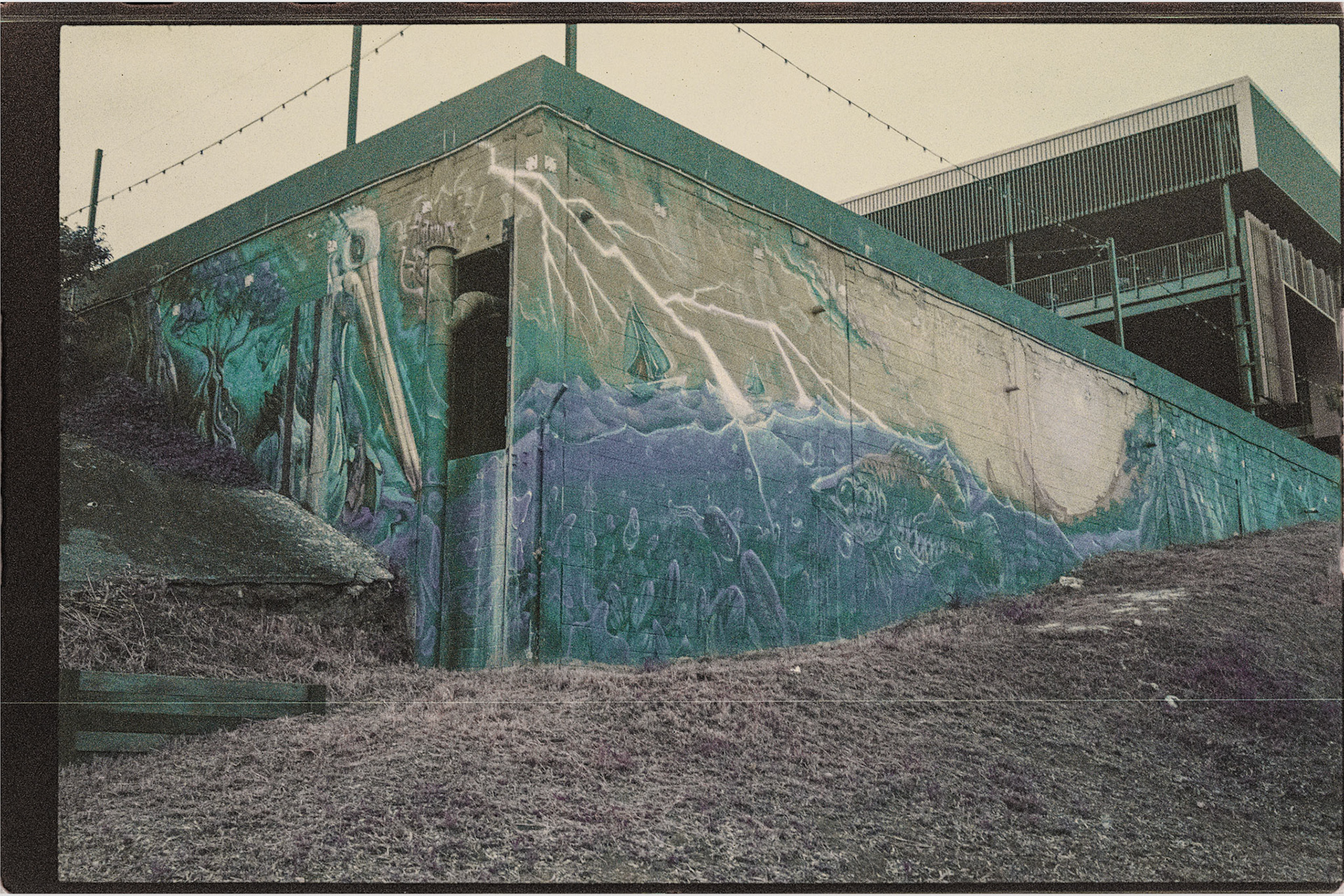 Lomochrome Purple 200