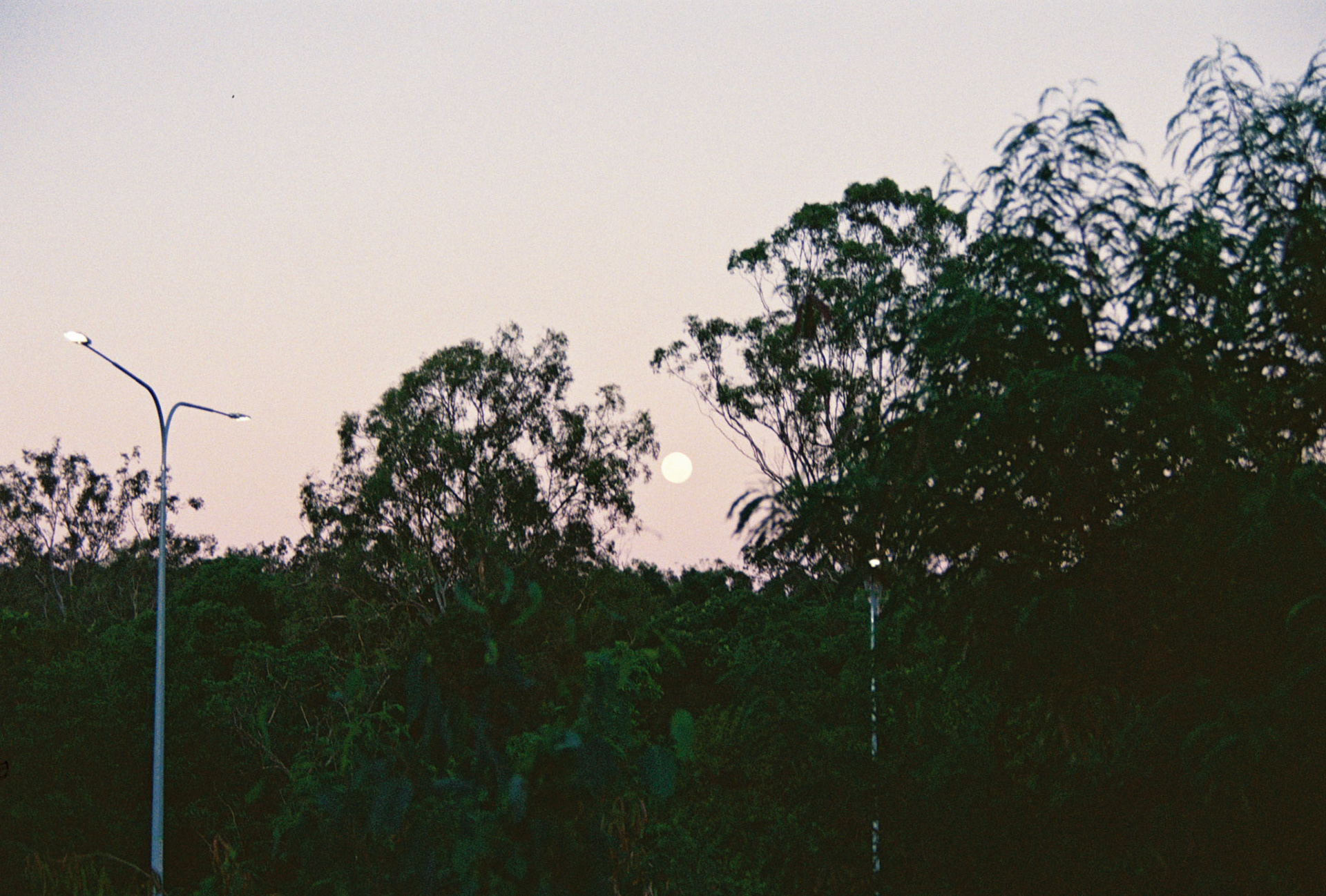 Kodak Ultramax 400