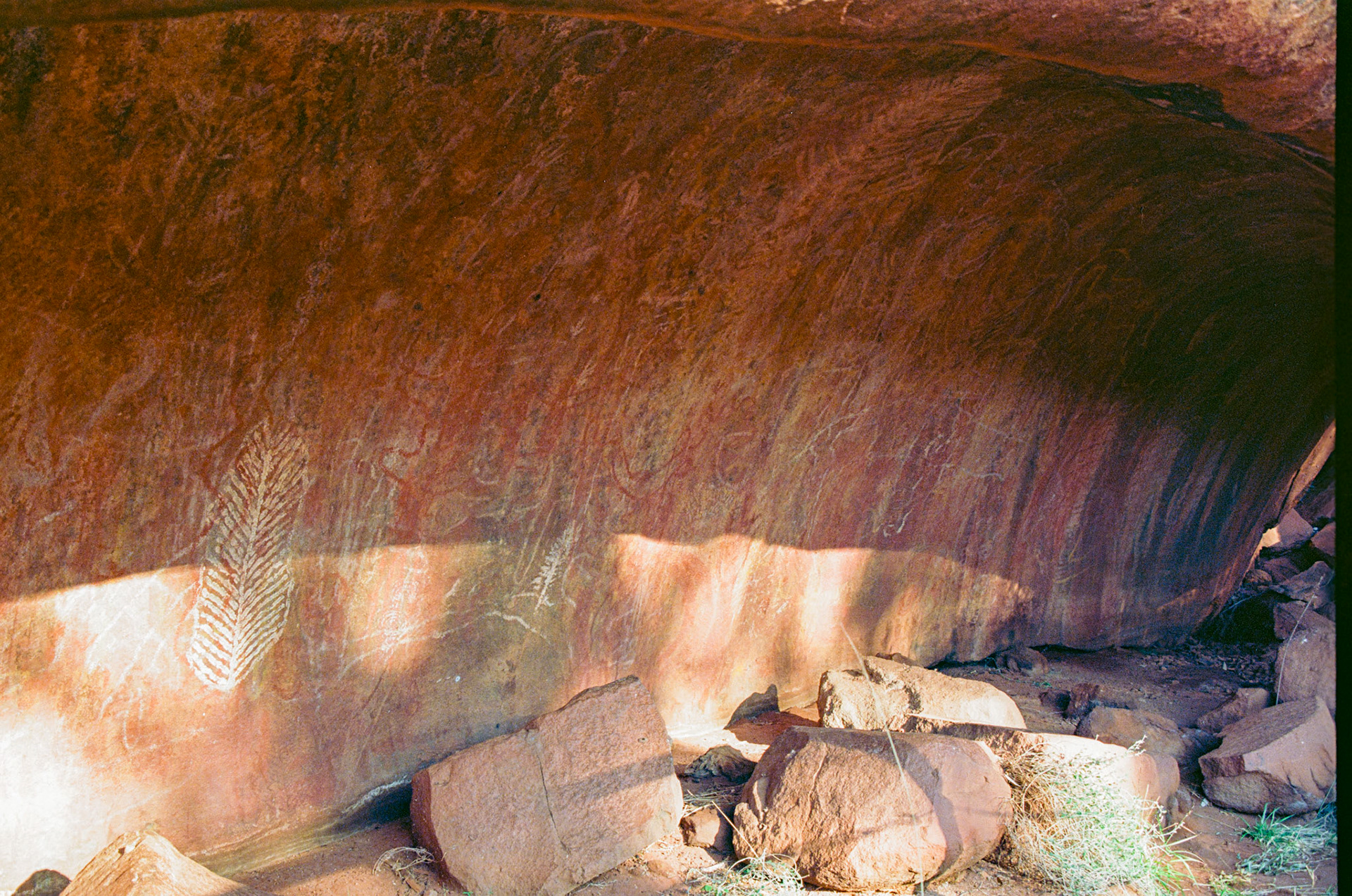 Kodak Ektar 100