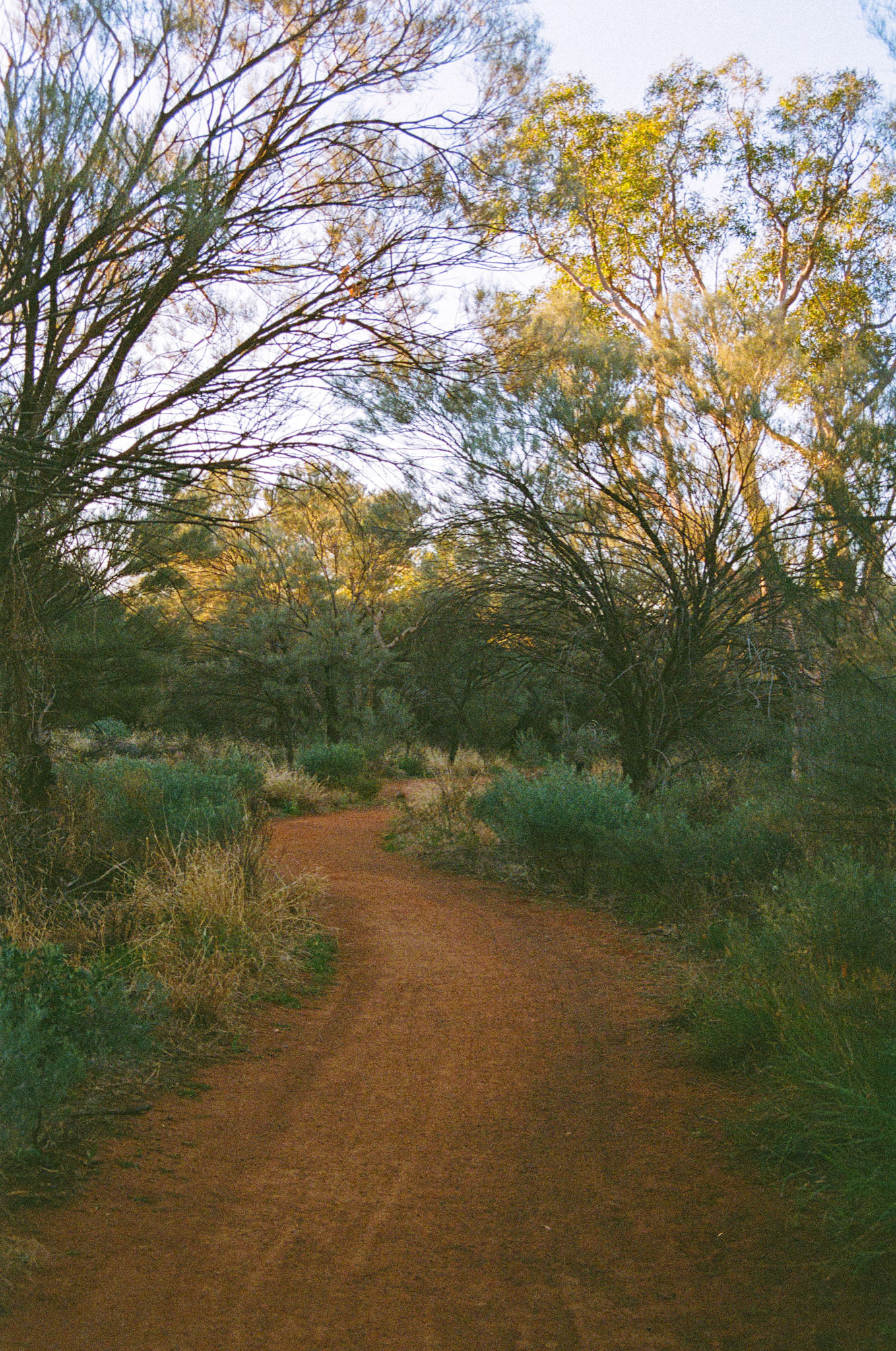 Kodak Portra 800