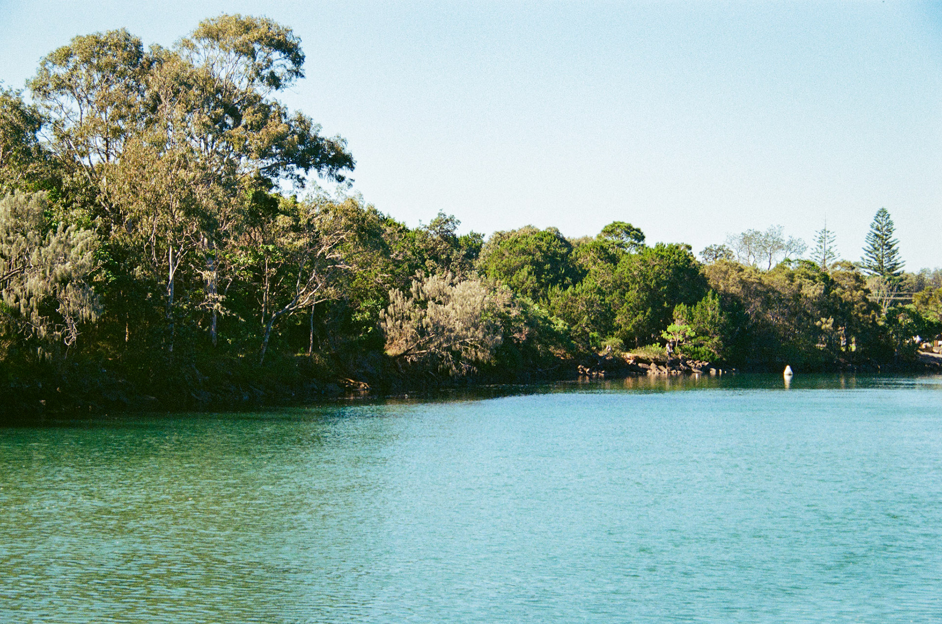 Fujifilm 200