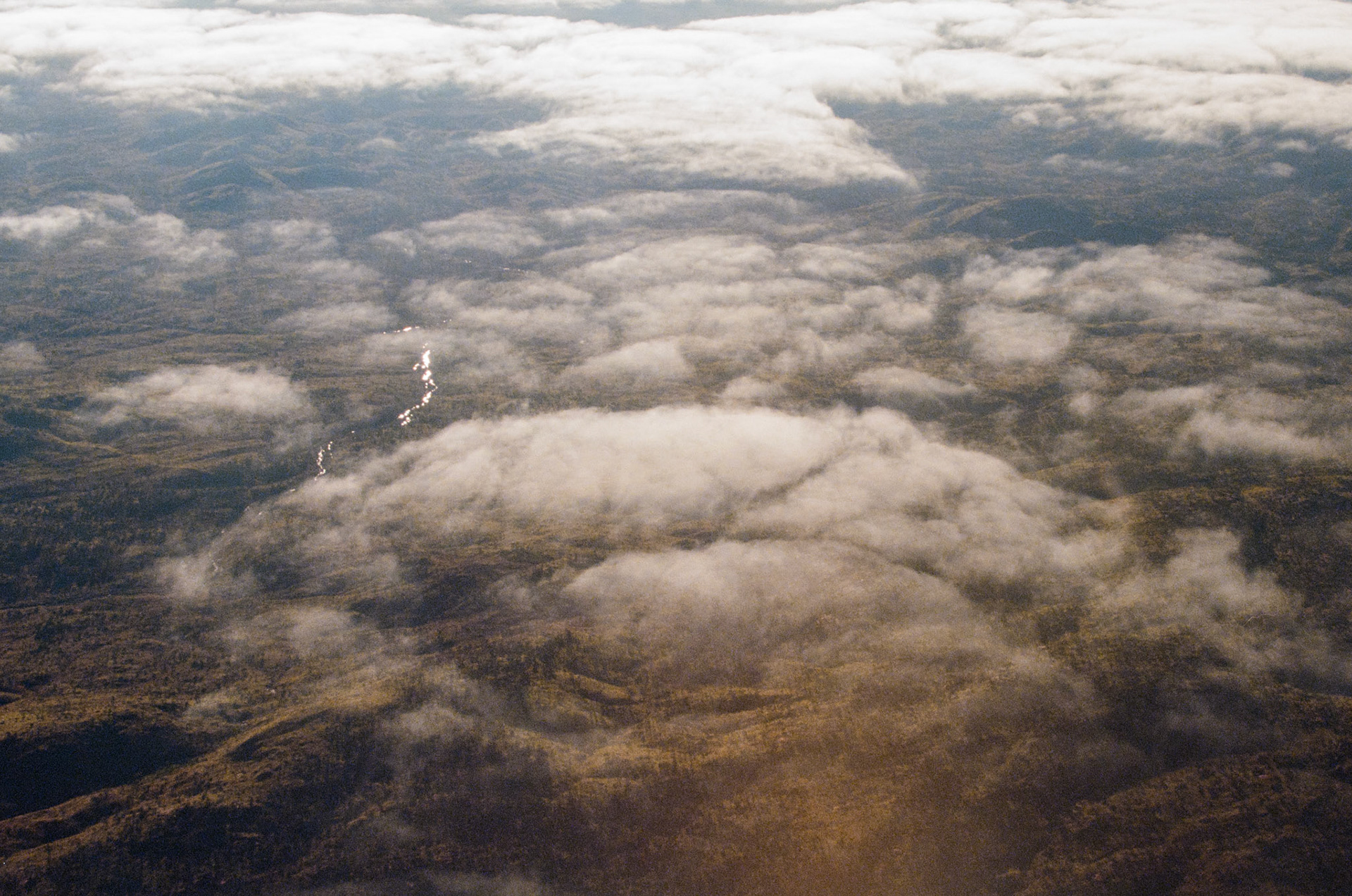 Kodak Ektar 100