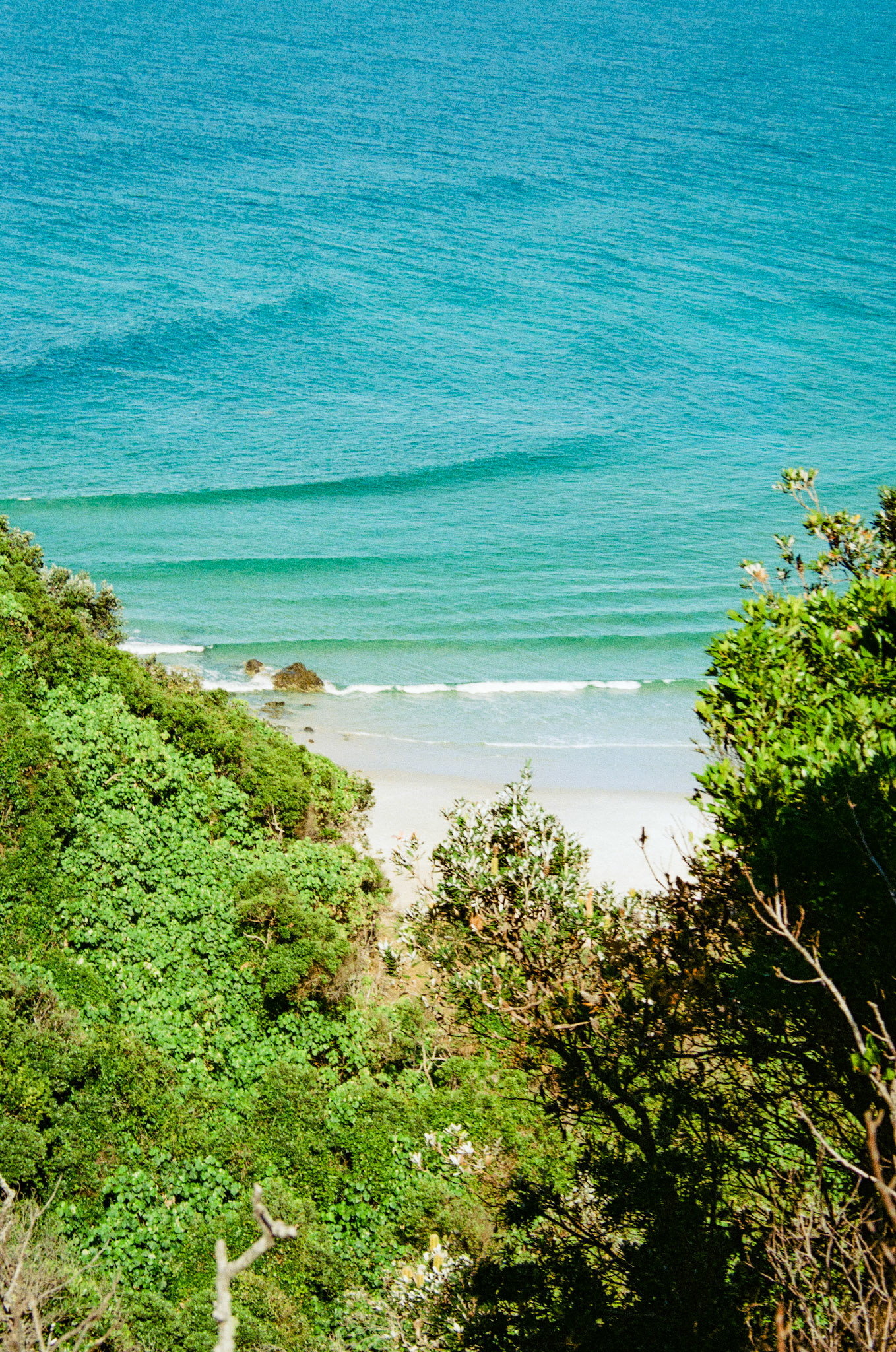 Fujifilm 200