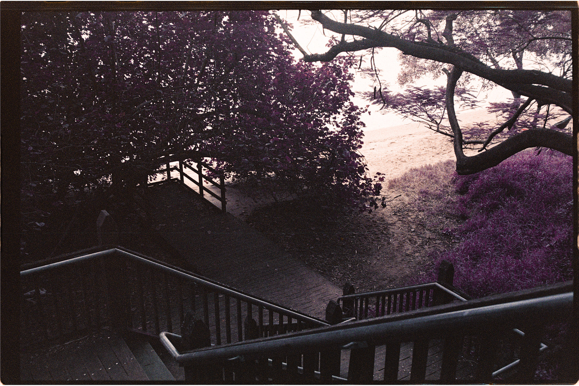 Lomochrome Purple 200