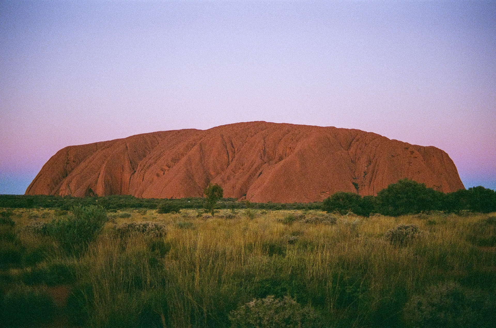 Kodak Portra 800