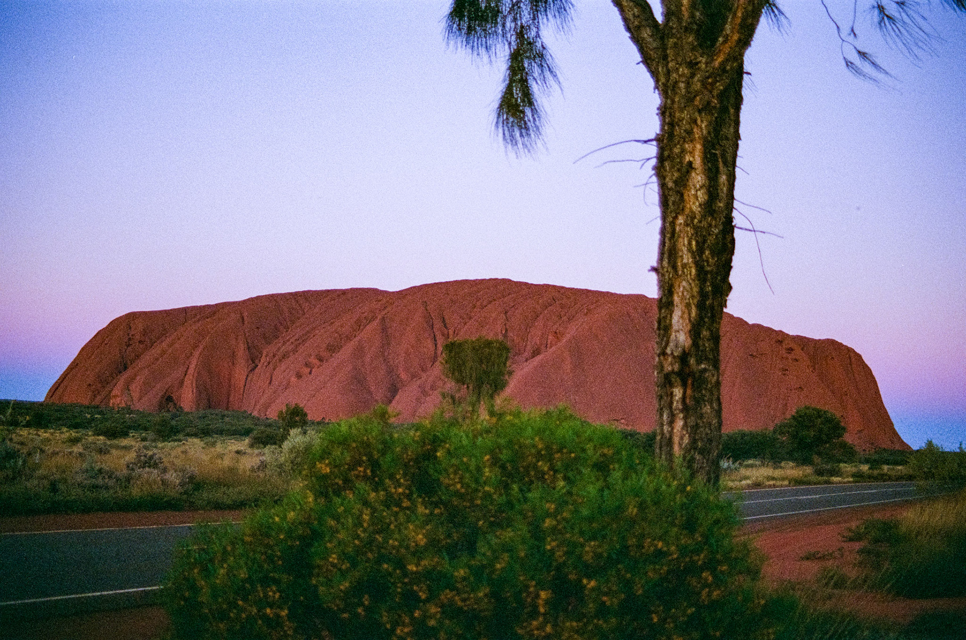 Kodak Portra 800
