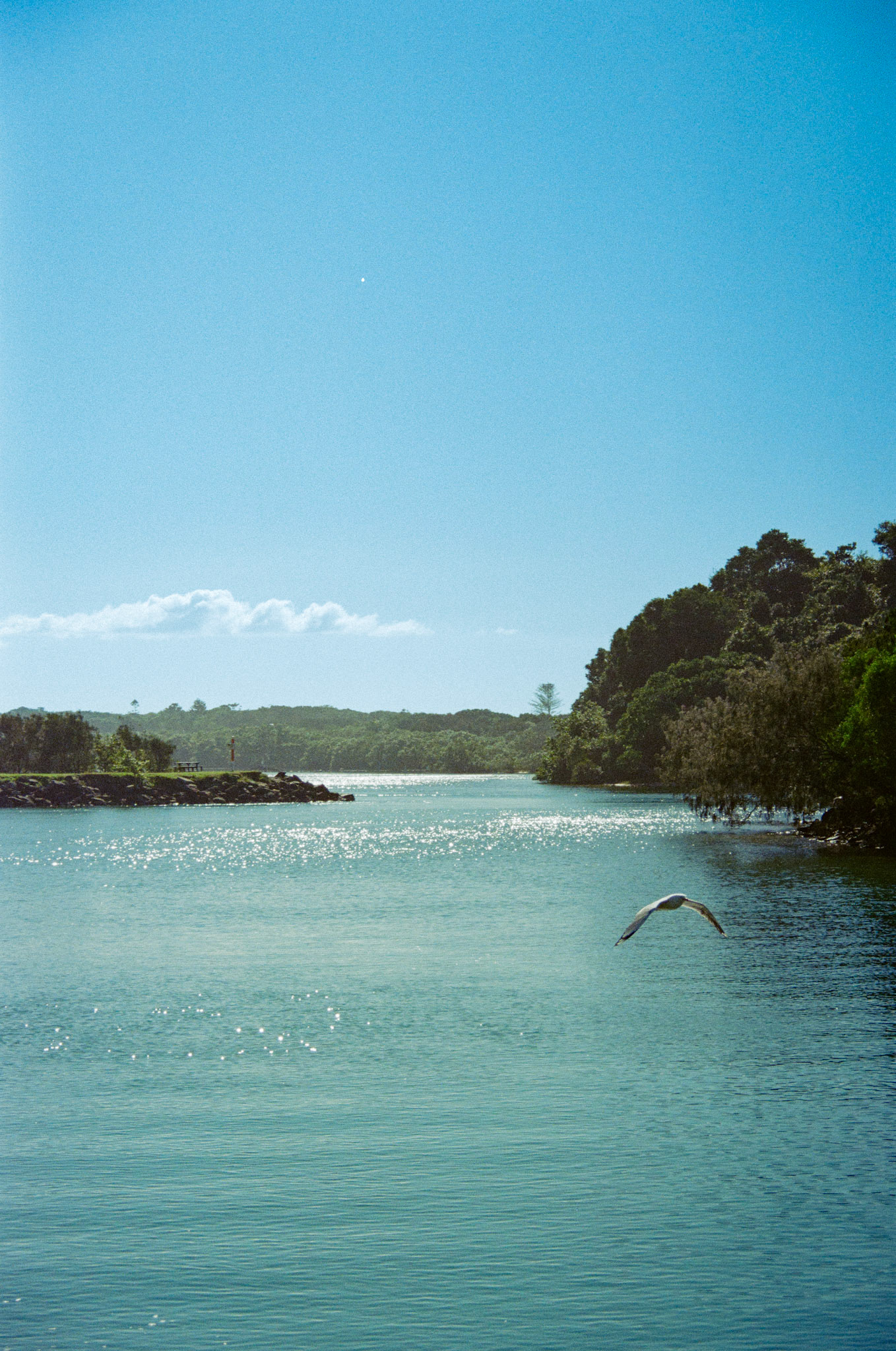 Fujifilm 200